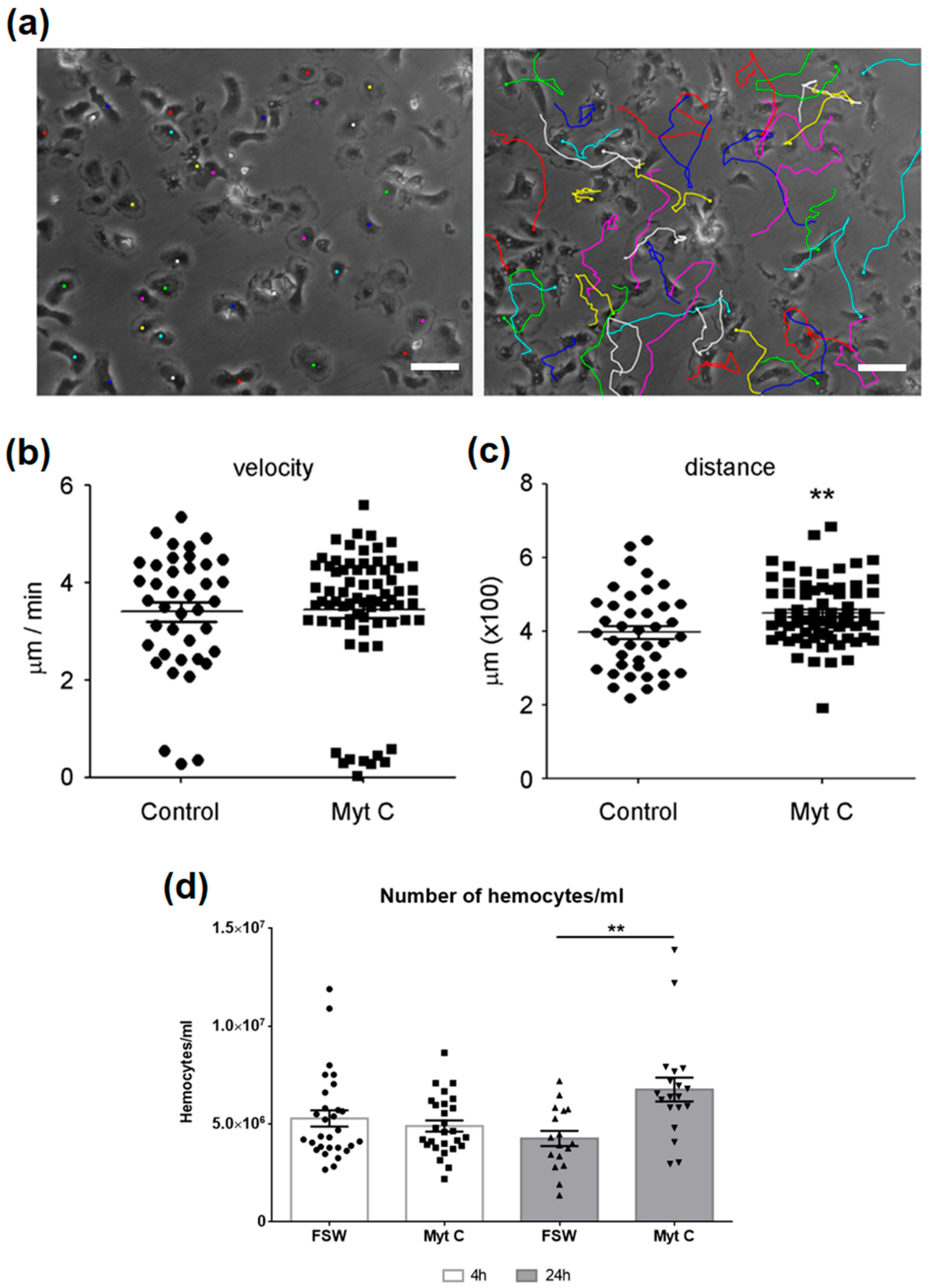 Biomolecules 10 00133 g004