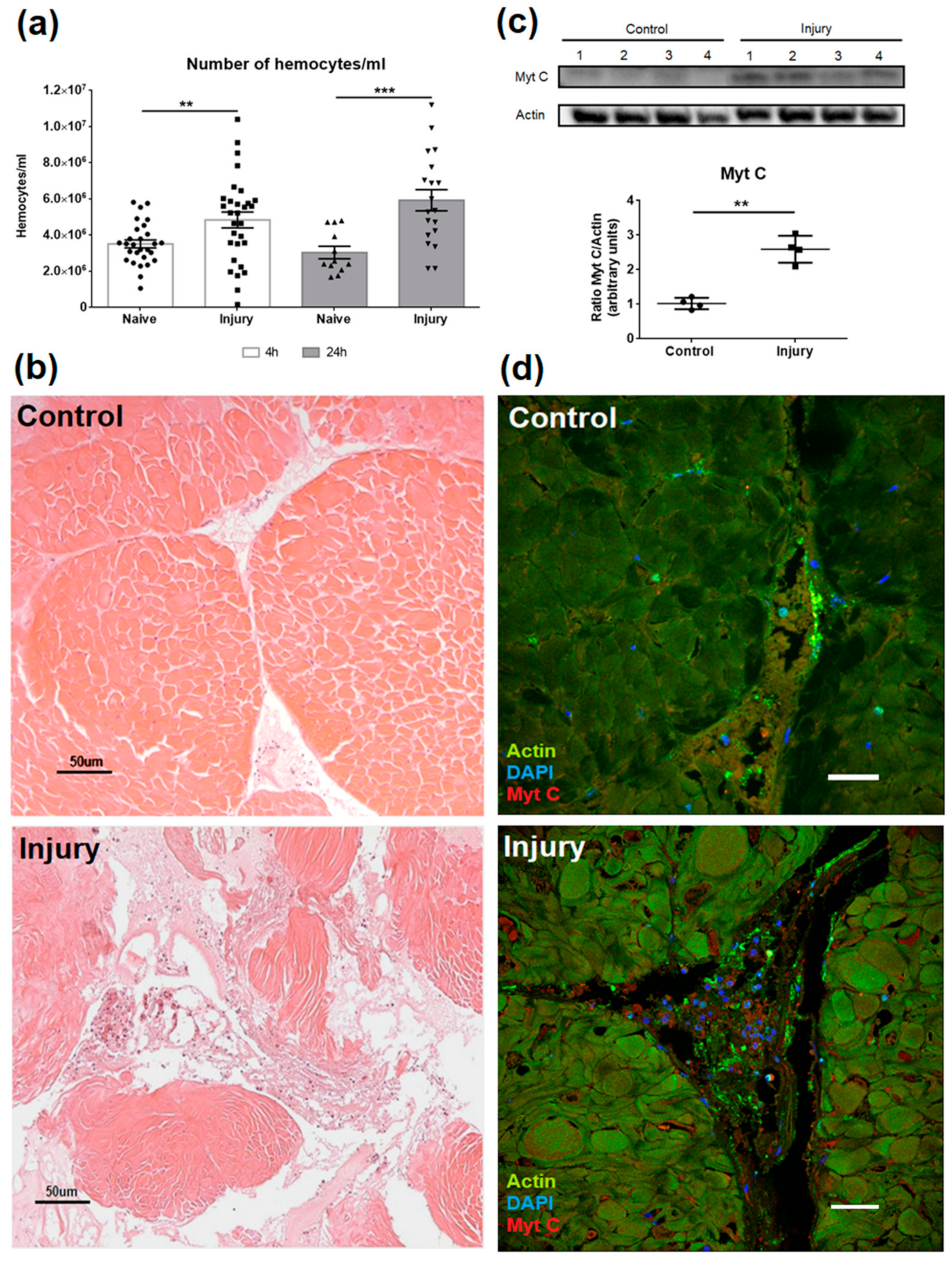 Biomolecules 10 00133 g005