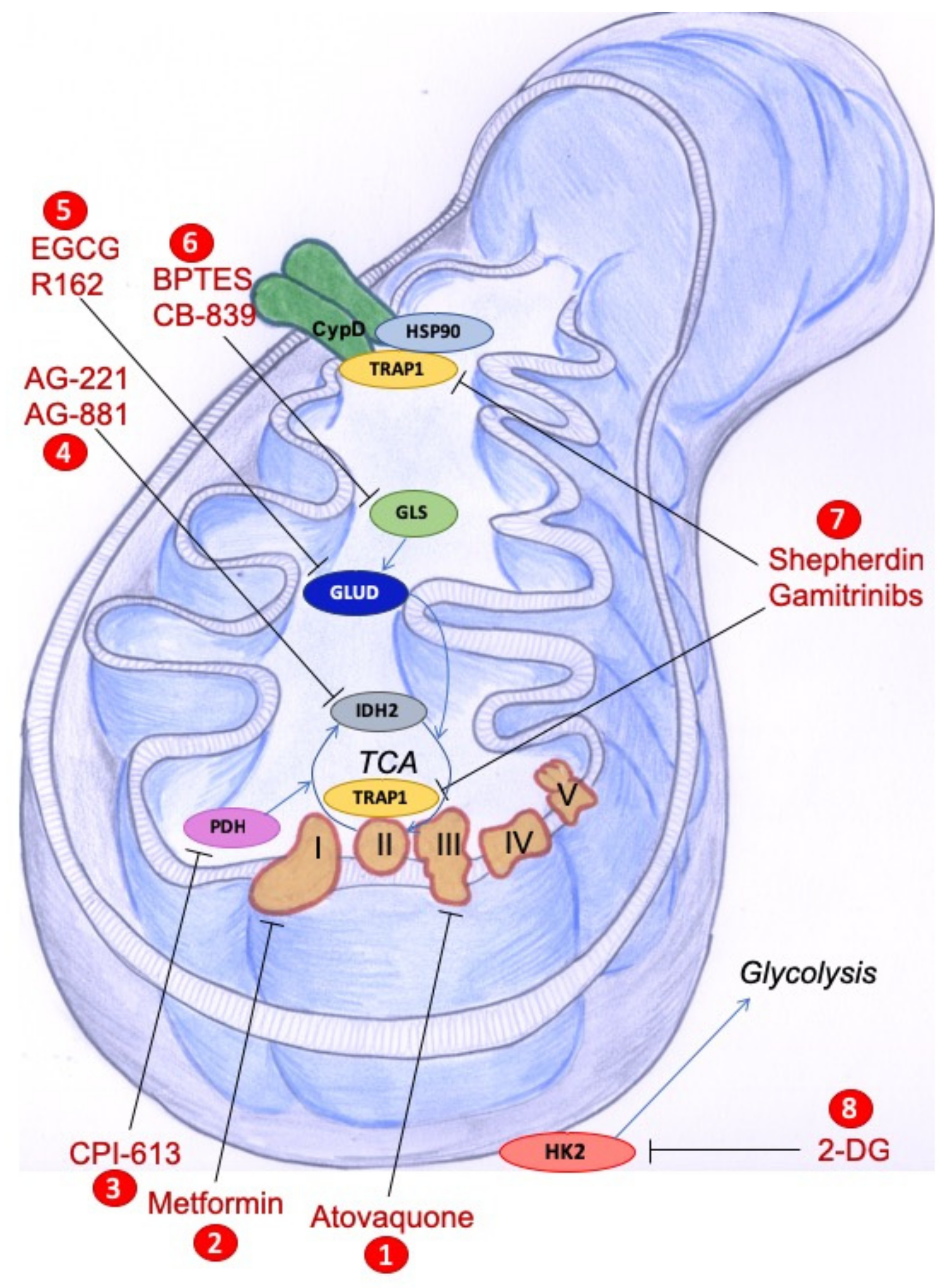 Biomolecules Free Full Text Modulation Of Mitochondrial Metabolic Reprogramming And Oxidative Stress To Overe Chemoresistance In Cancer Html