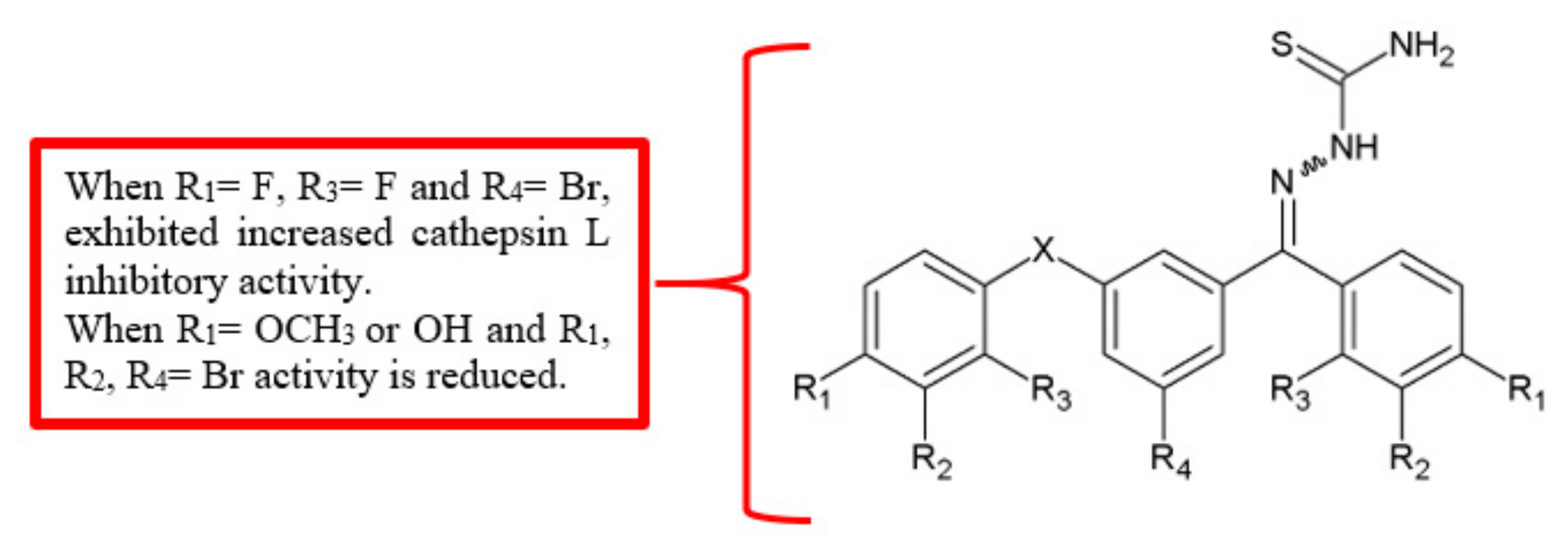 Biomolecules 10 00138 g004