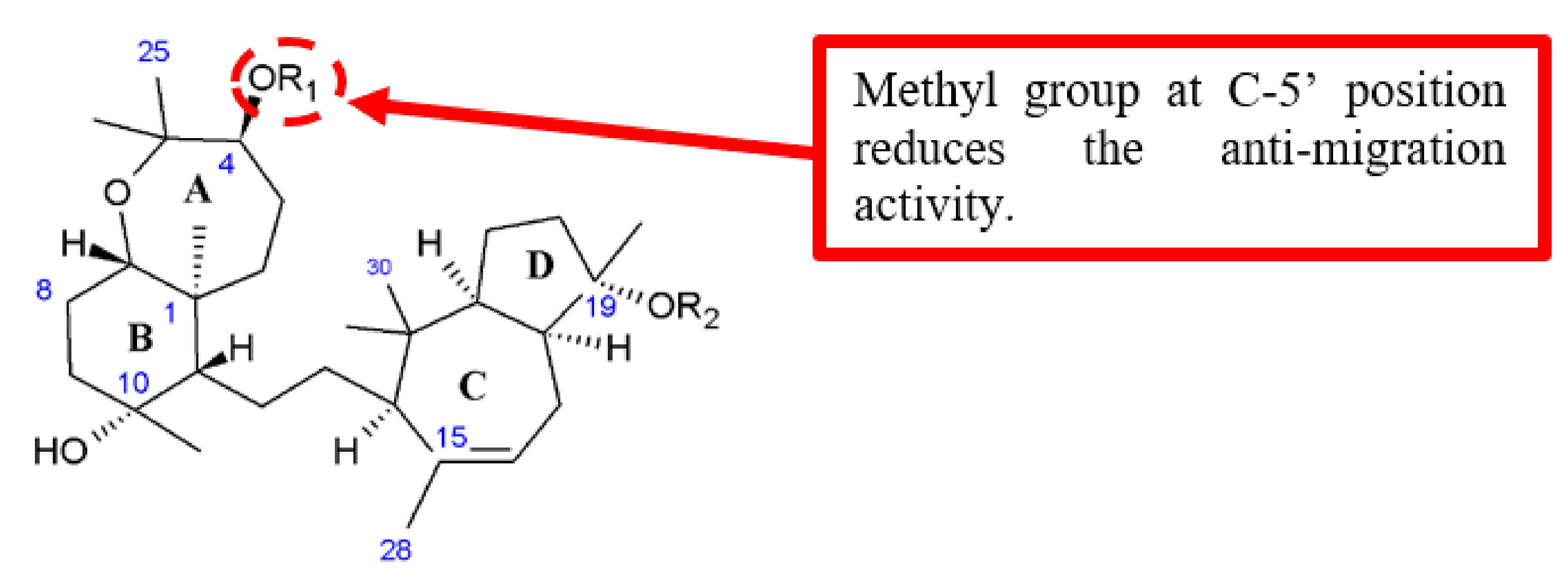 Biomolecules 10 00138 g017