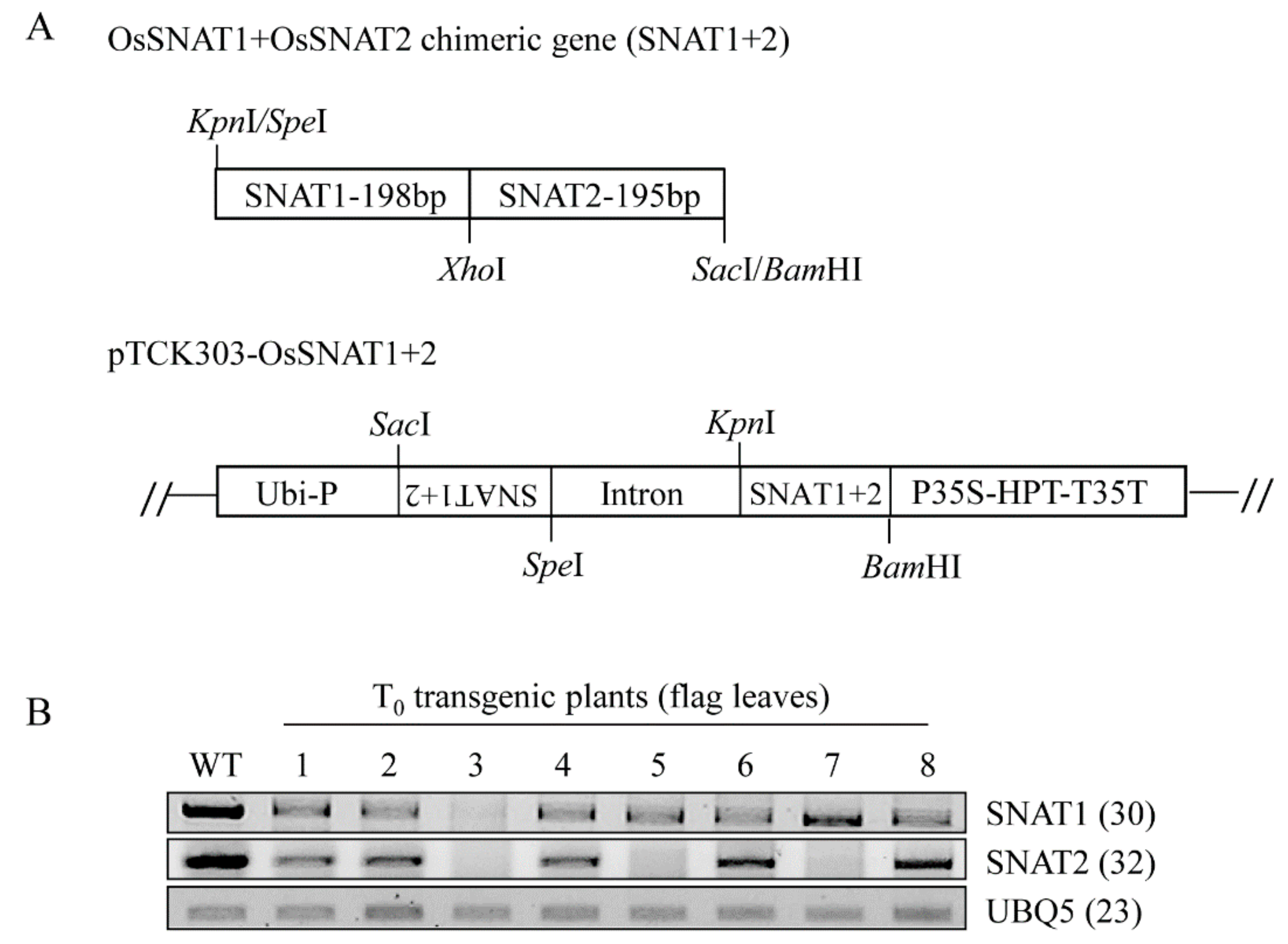 Biomolecules 10 00141 g001 Biomolecules 10 00141 g001