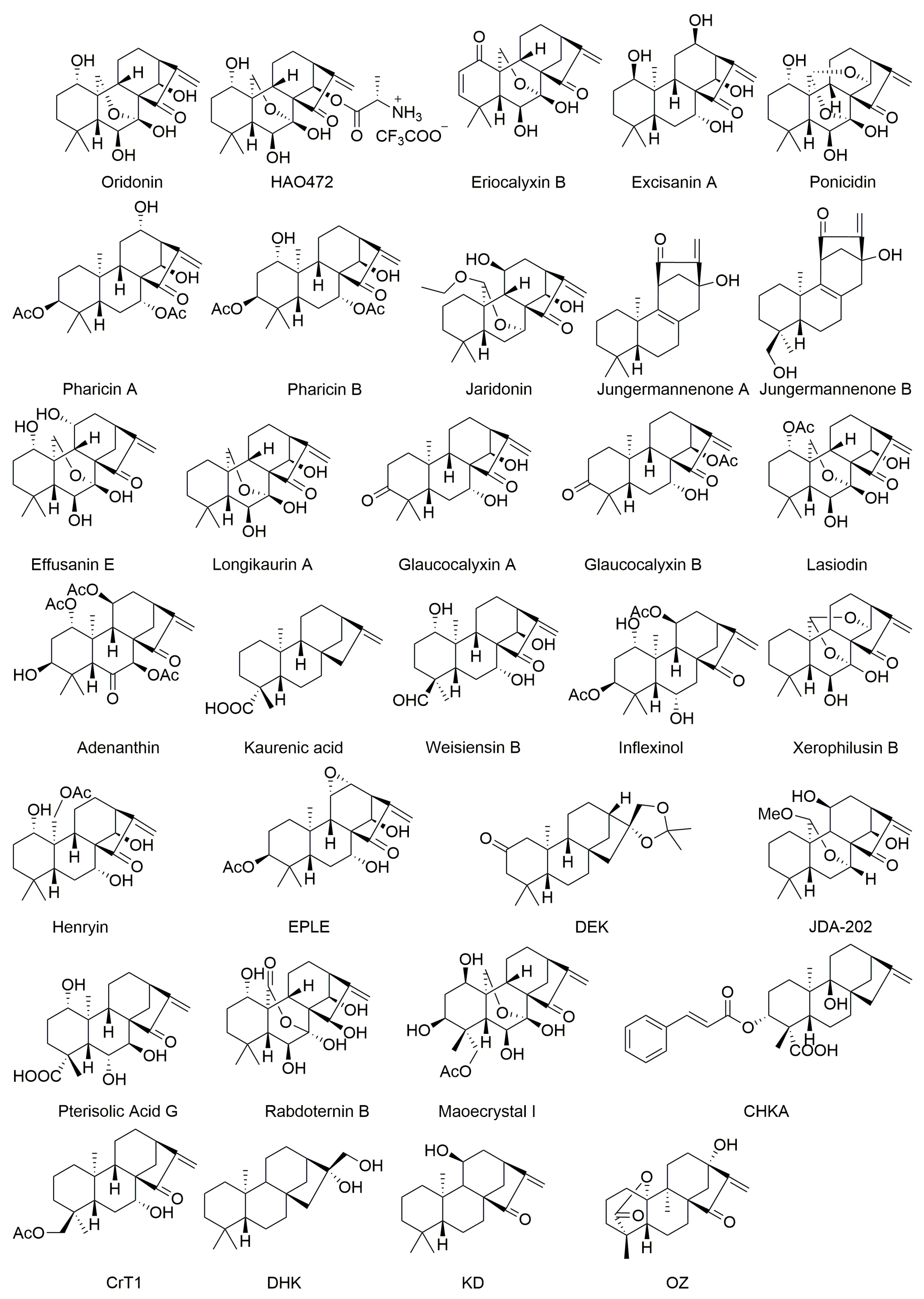 Biomolecules 10 00144 g002