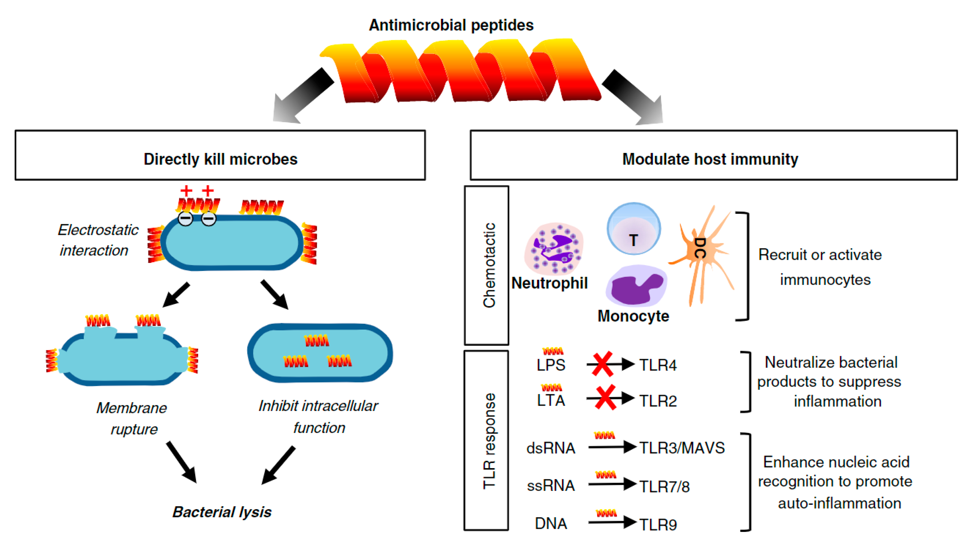 Biomolecules 10 00148 g003 Biomolecules 10 00148 g003