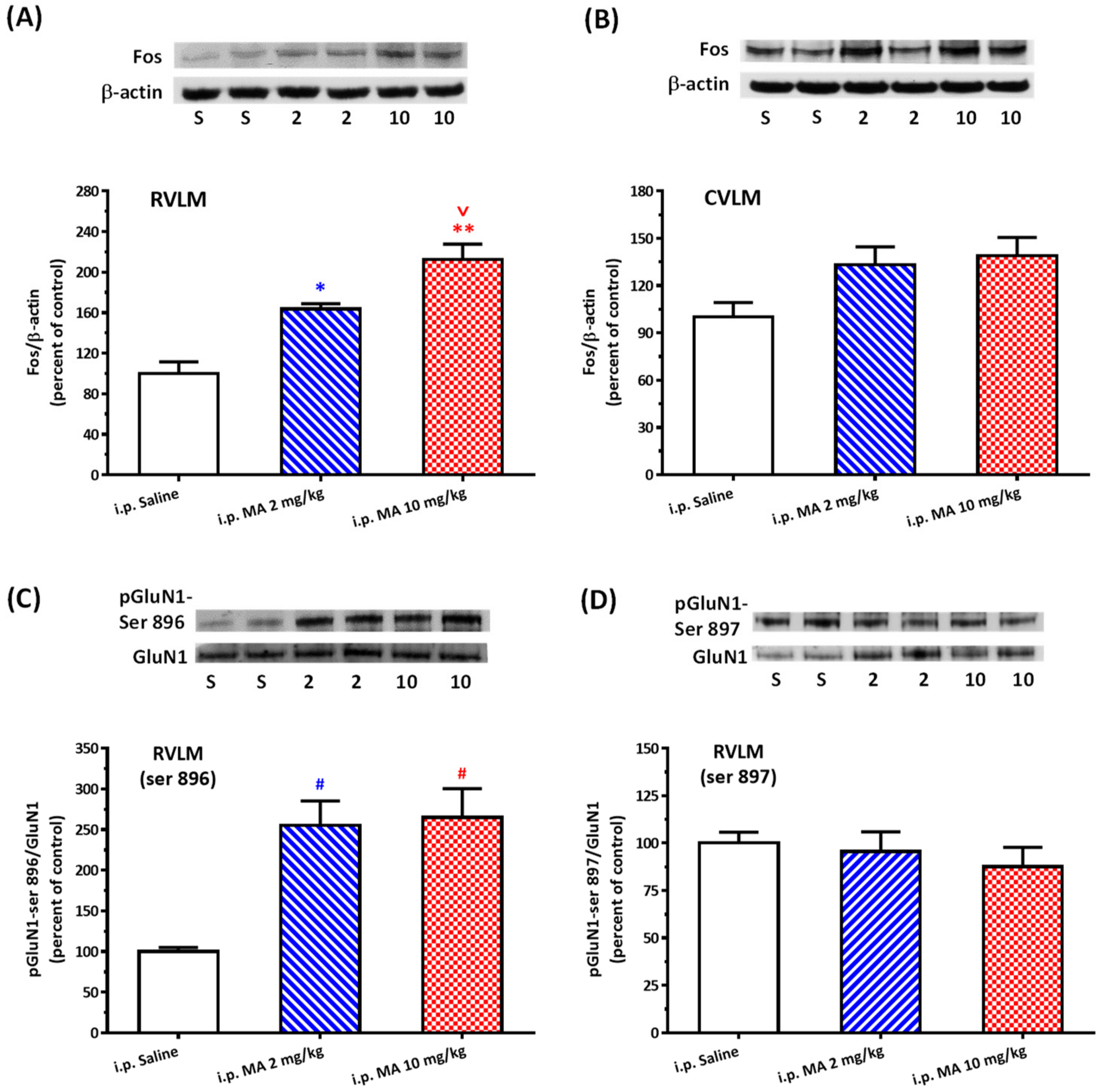 Biomolecules 10 00149 g002