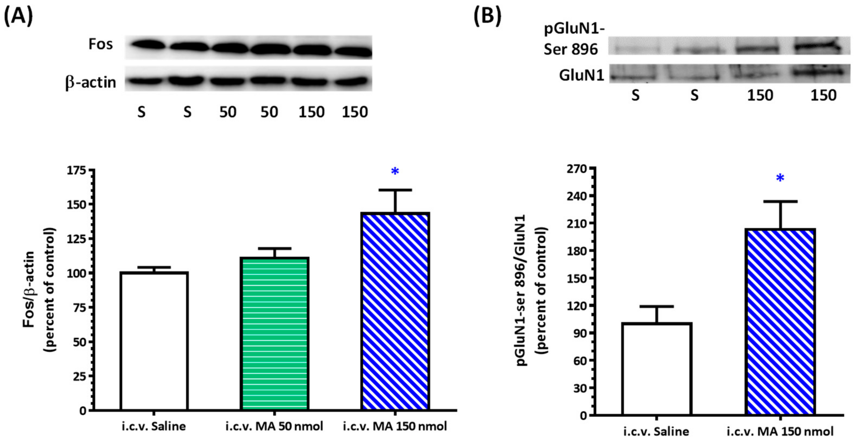 Biomolecules 10 00149 g004