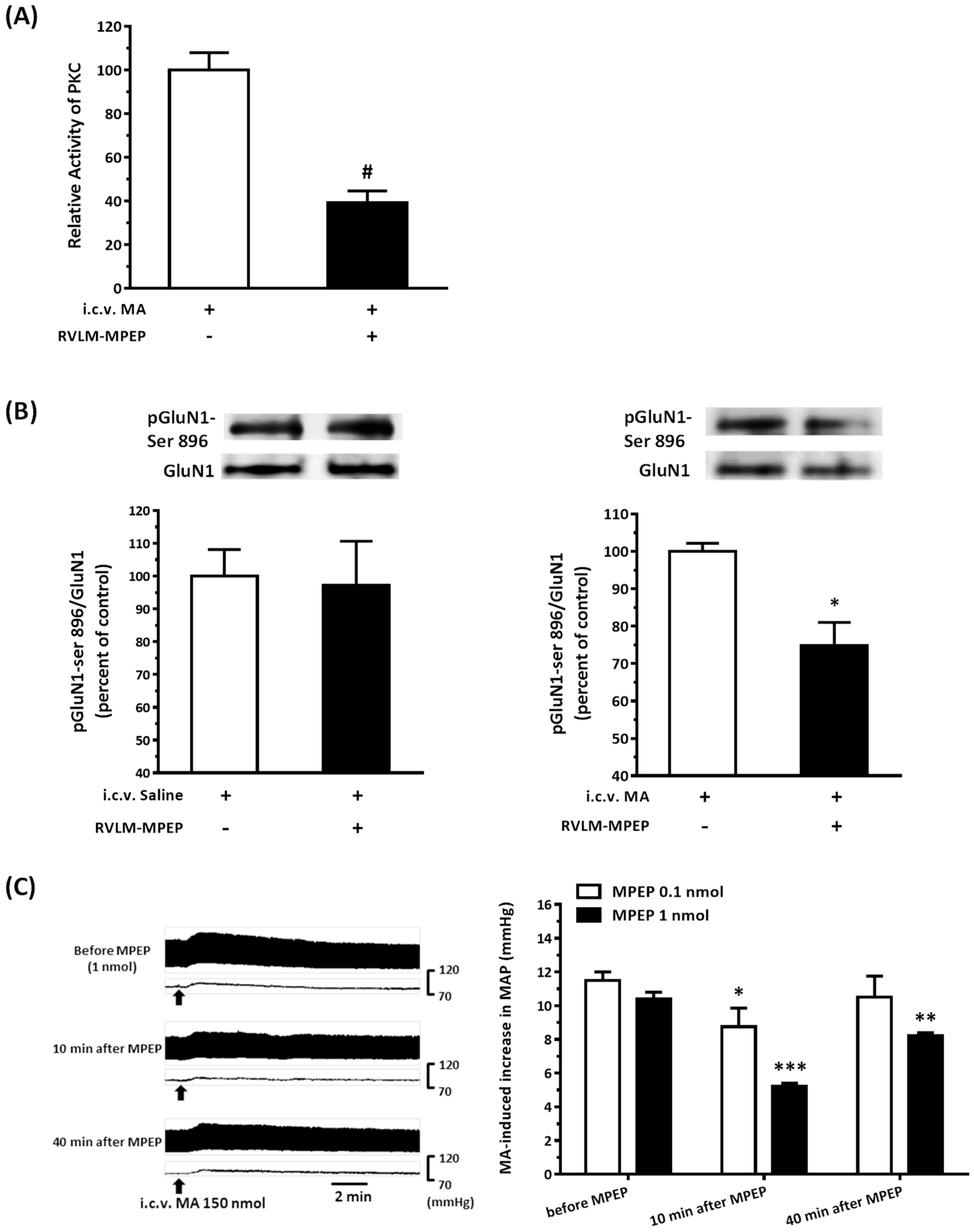 Biomolecules 10 00149 g008