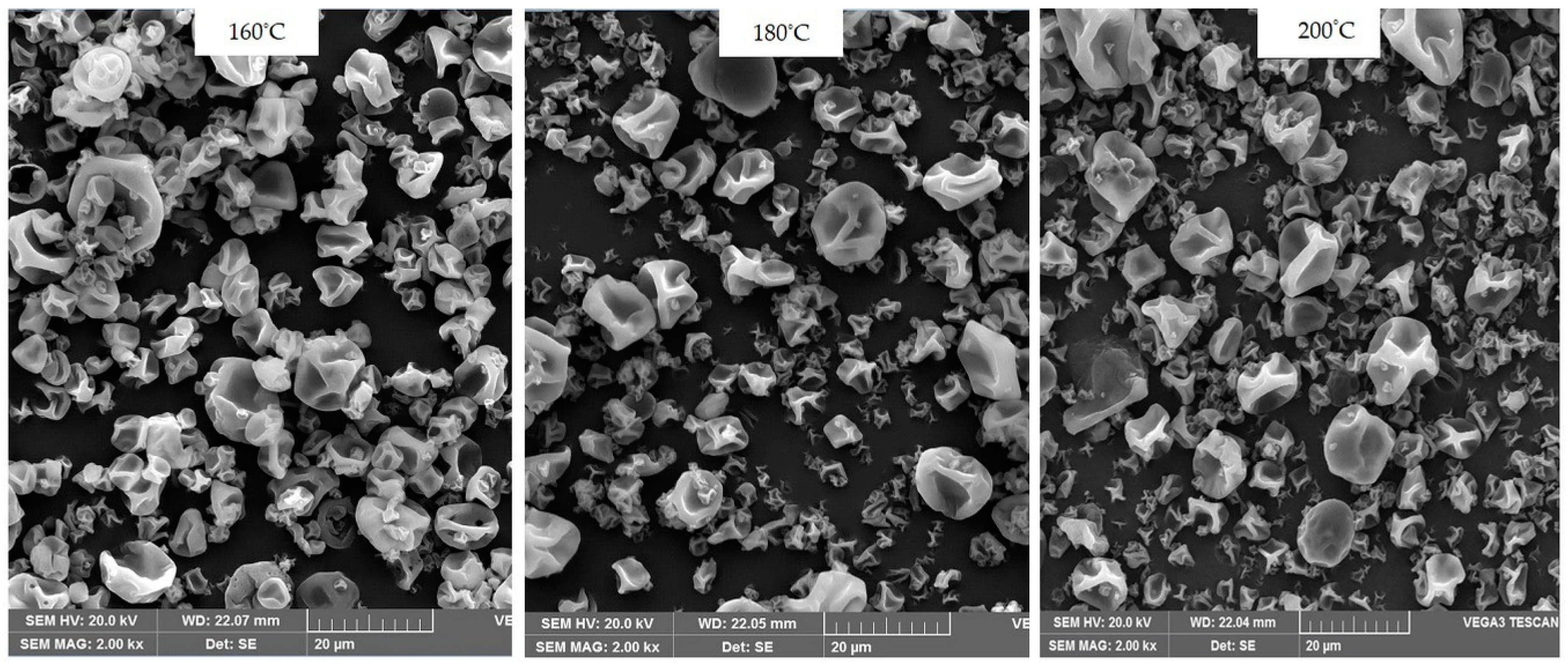Biomolecules 10 00153 g002 Biomolecules 10 00153 g002