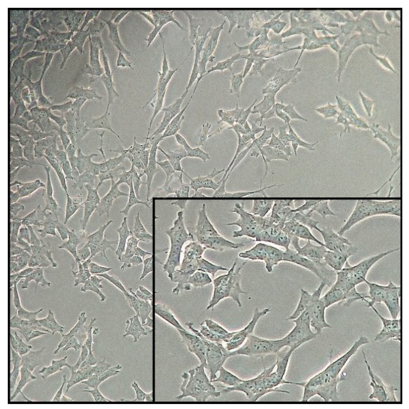 Biomolecules 10 00160 g002