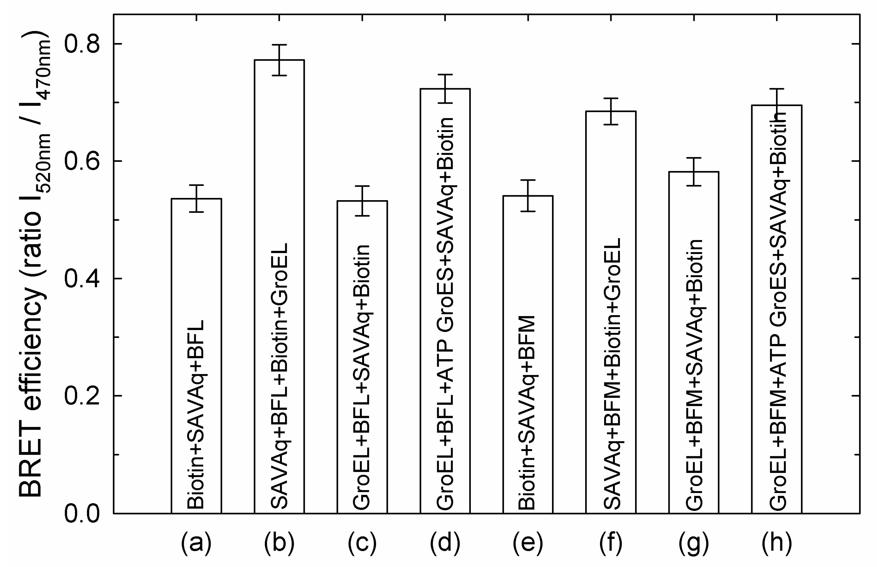 Biomolecules 10 00162 g004 Biomolecules 10 00162 g004