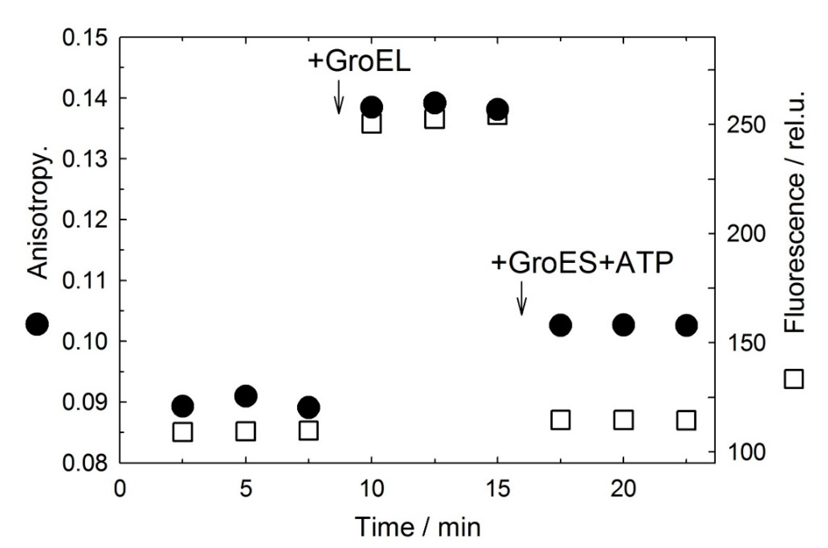 Biomolecules 10 00162 g006 Biomolecules 10 00162 g006