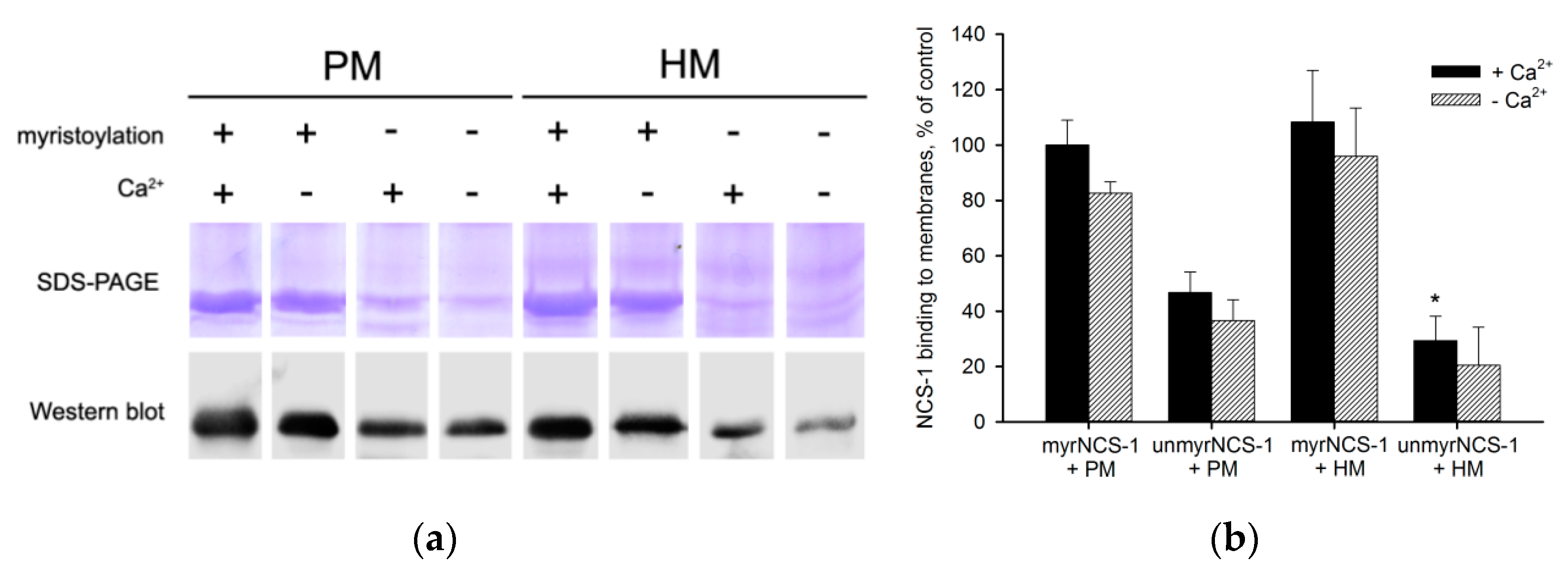 Biomolecules 10 00164 g001