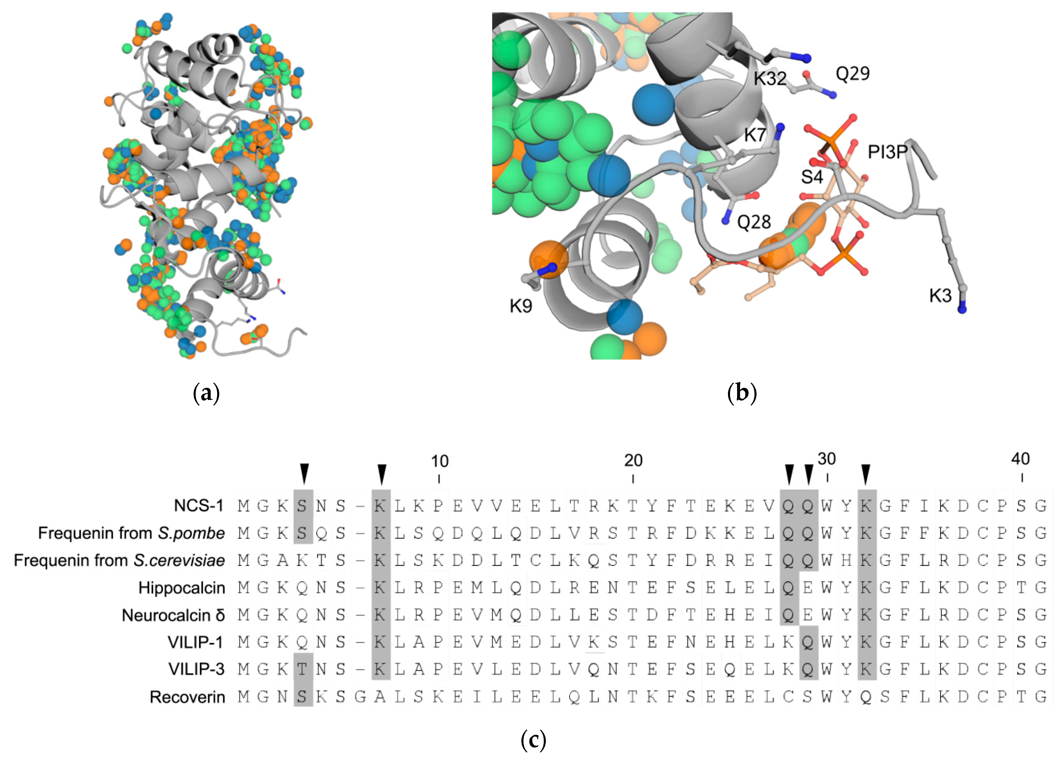 Biomolecules 10 00164 g006