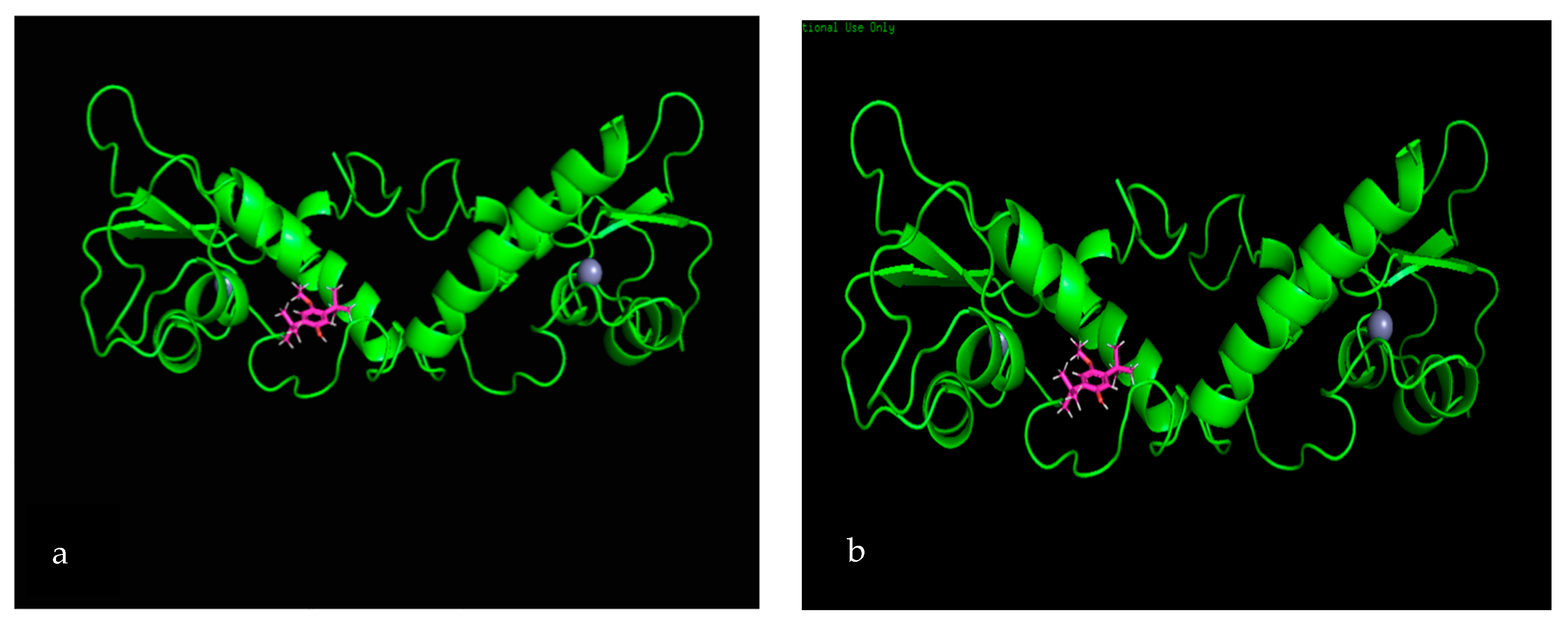 Biomolecules 10 00165 g005 Biomolecules 10 00165 g005