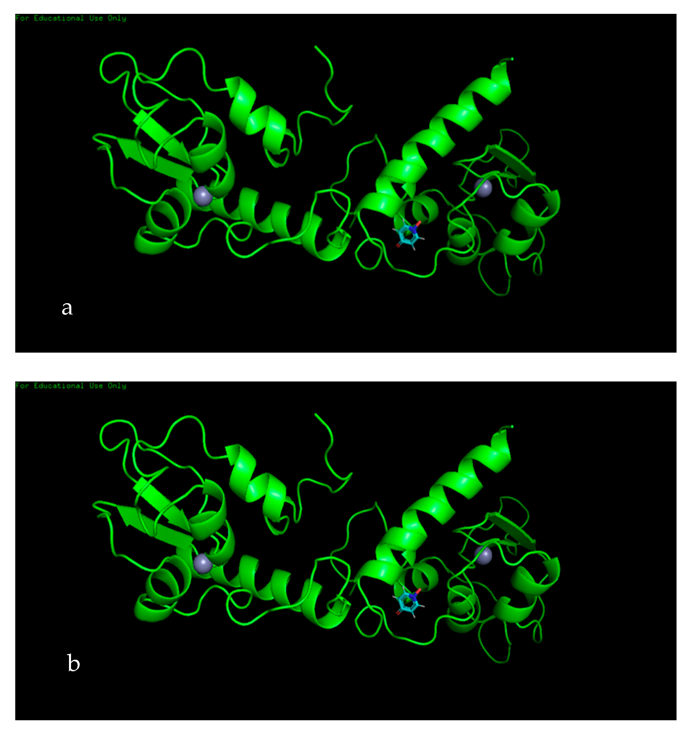 Biomolecules 10 00165 g006 Biomolecules 10 00165 g006