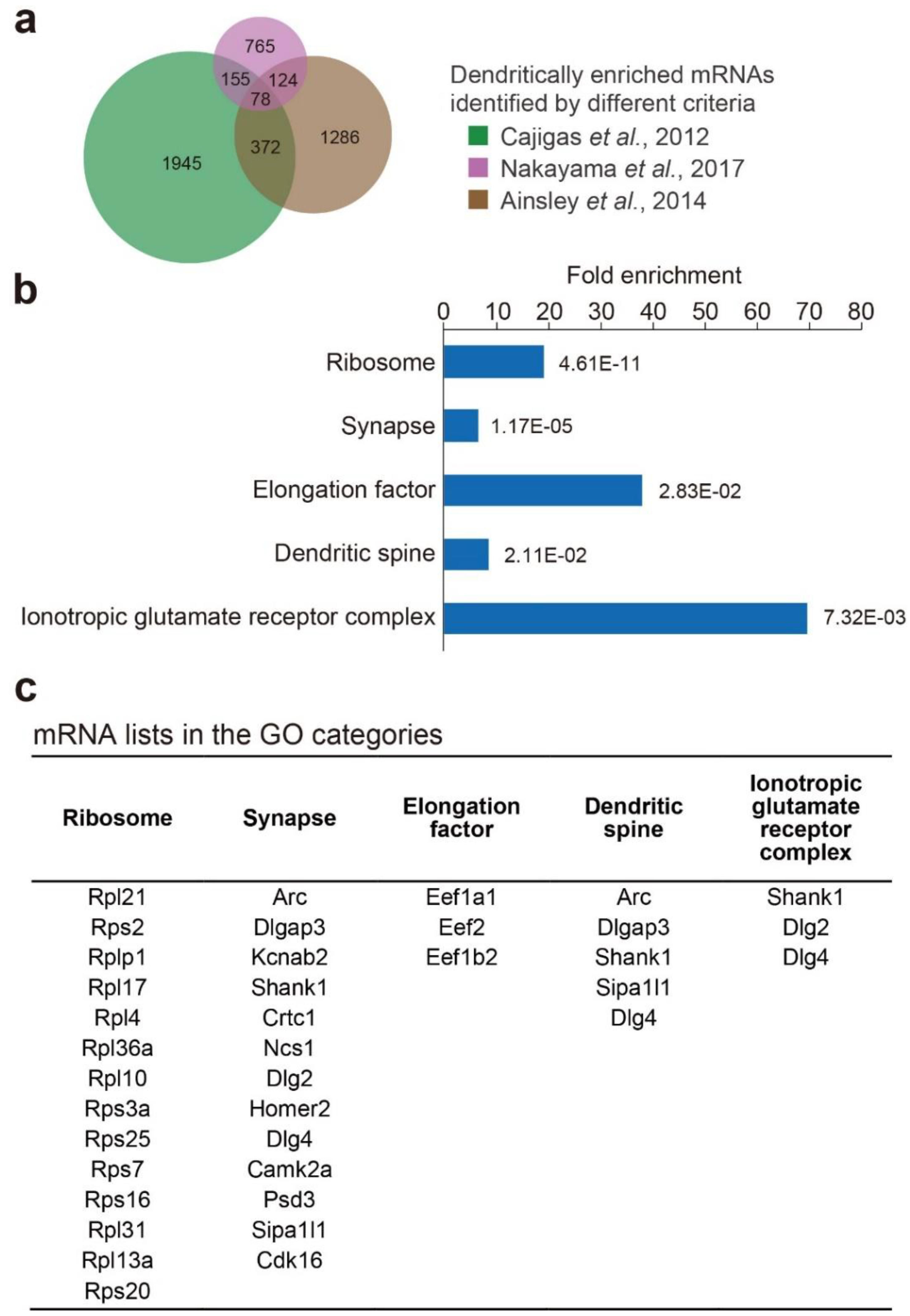 Biomolecules 10 00167 g002 Biomolecules 10 00167 g002