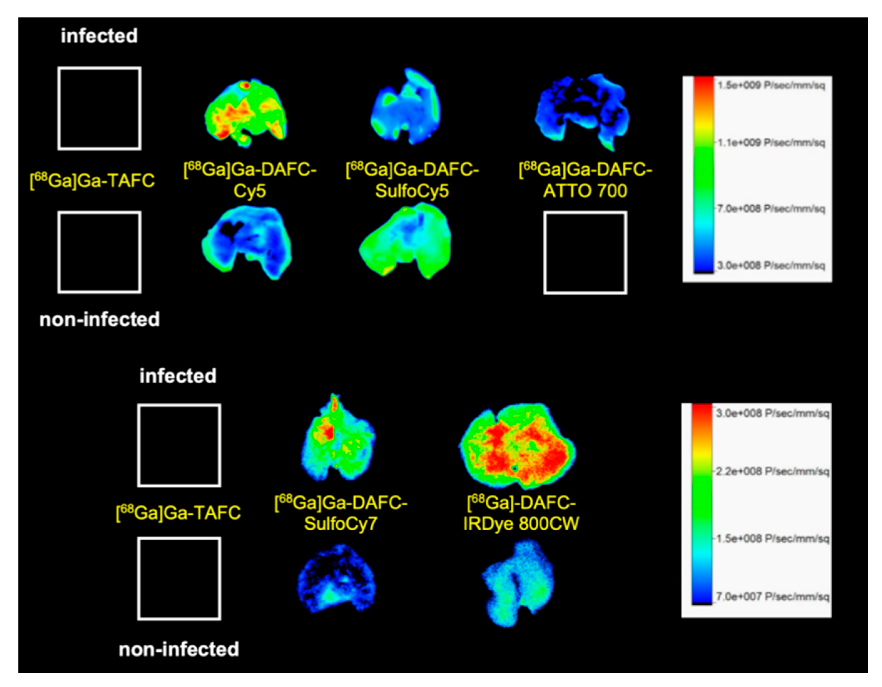 Biomolecules 10 00168 g007 Biomolecules 10 00168 g007
