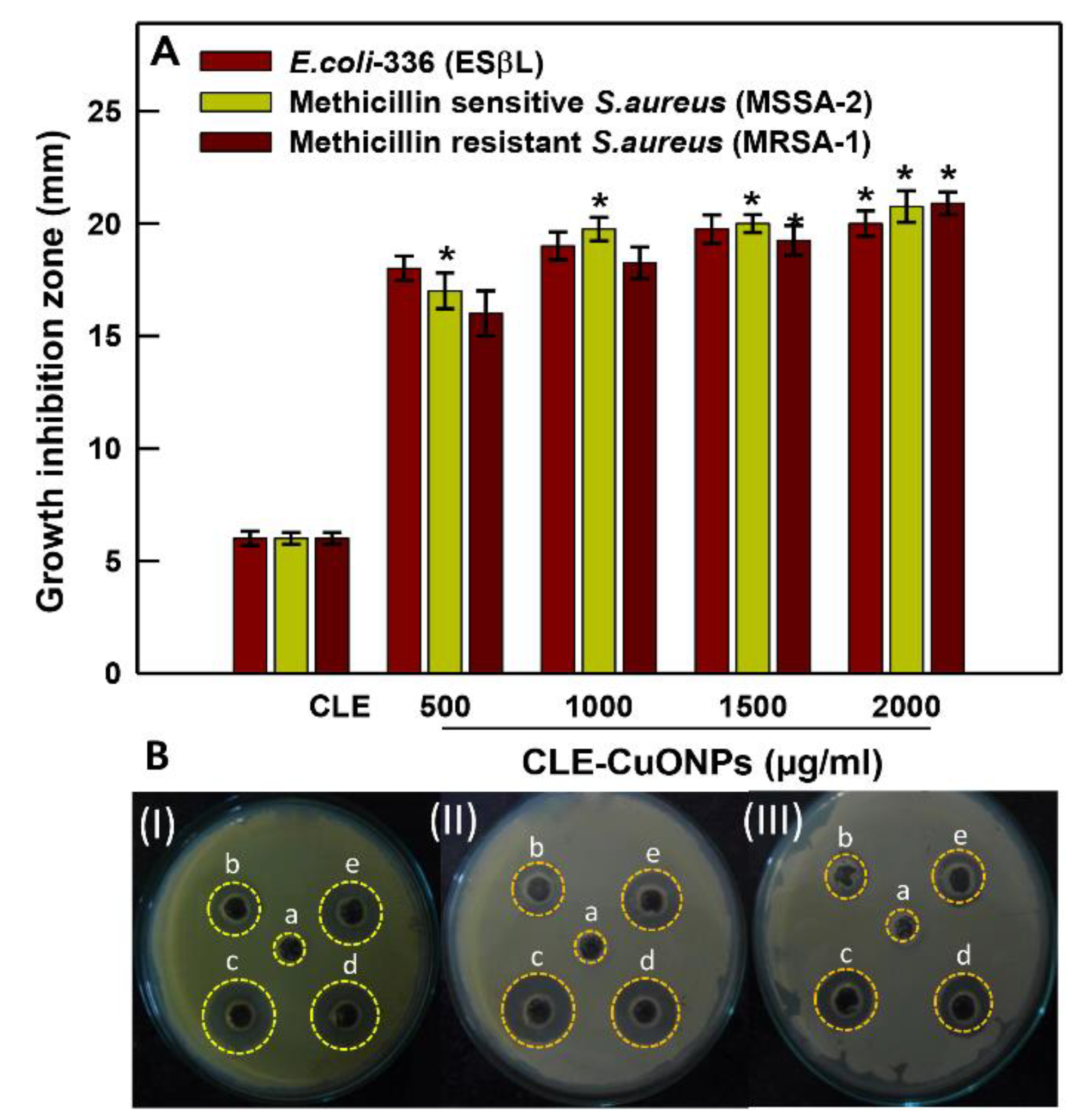 Biomolecules 10 00169 g005 Biomolecules 10 00169 g005