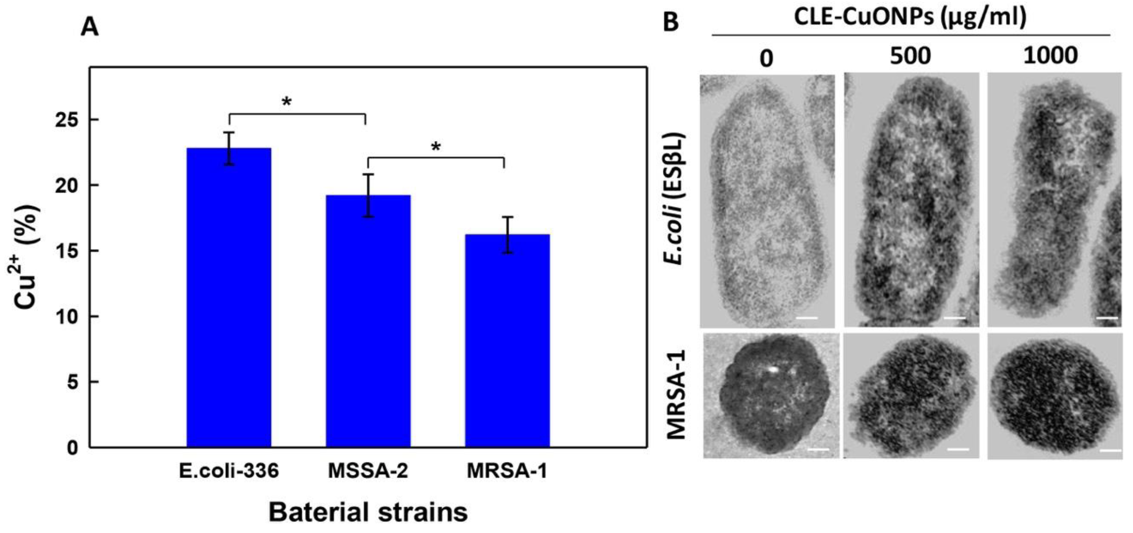 Biomolecules 10 00169 g008 Biomolecules 10 00169 g008