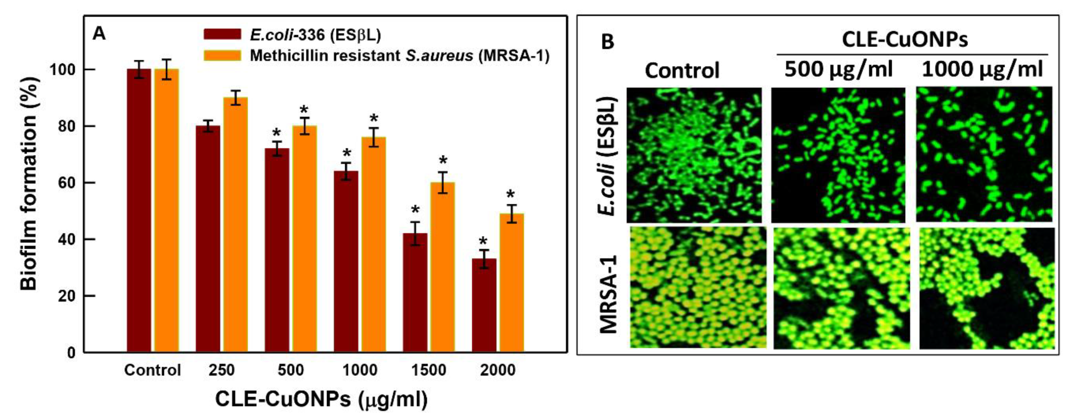 Biomolecules 10 00169 g009 Biomolecules 10 00169 g009