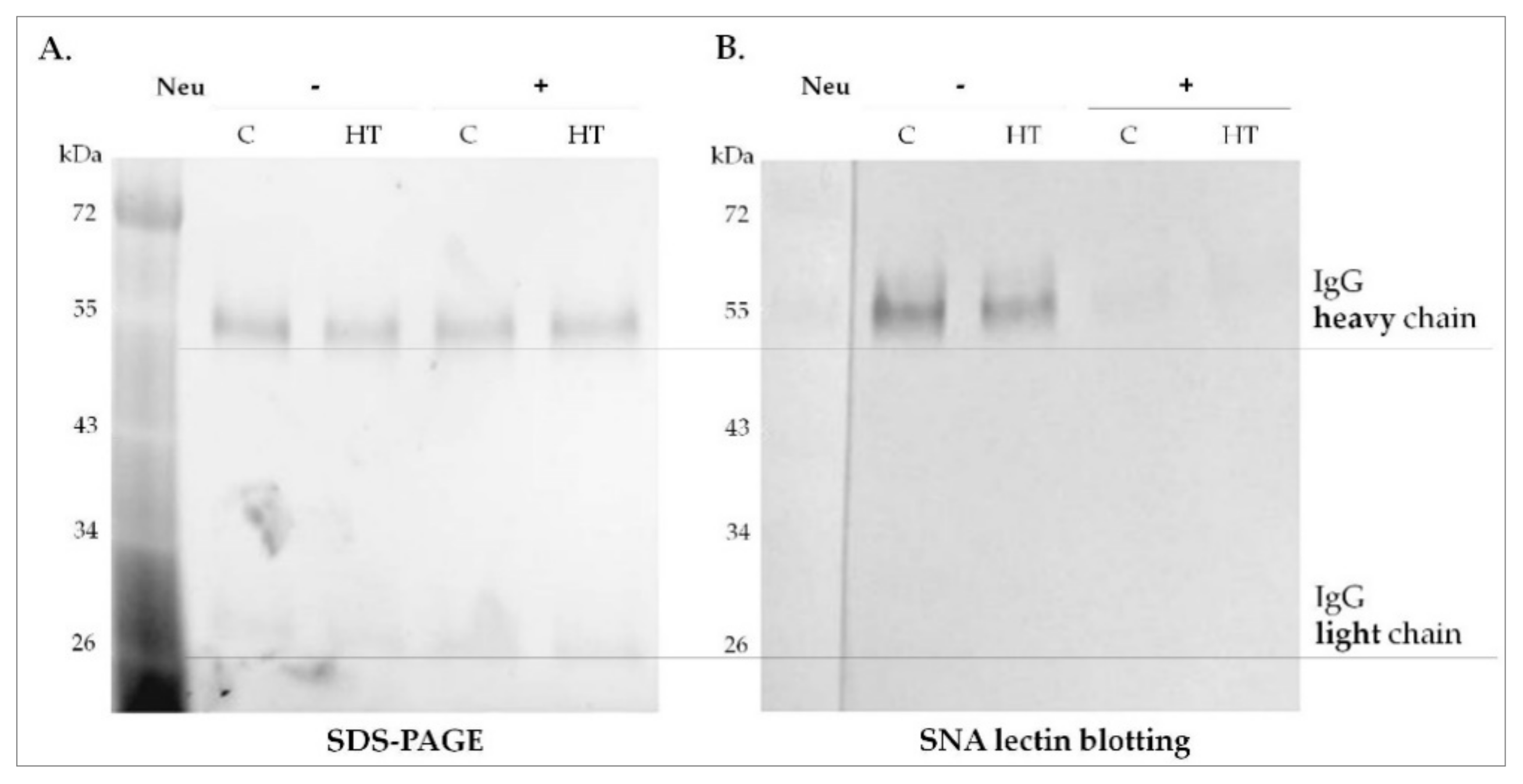 Biomolecules 10 00171 g003