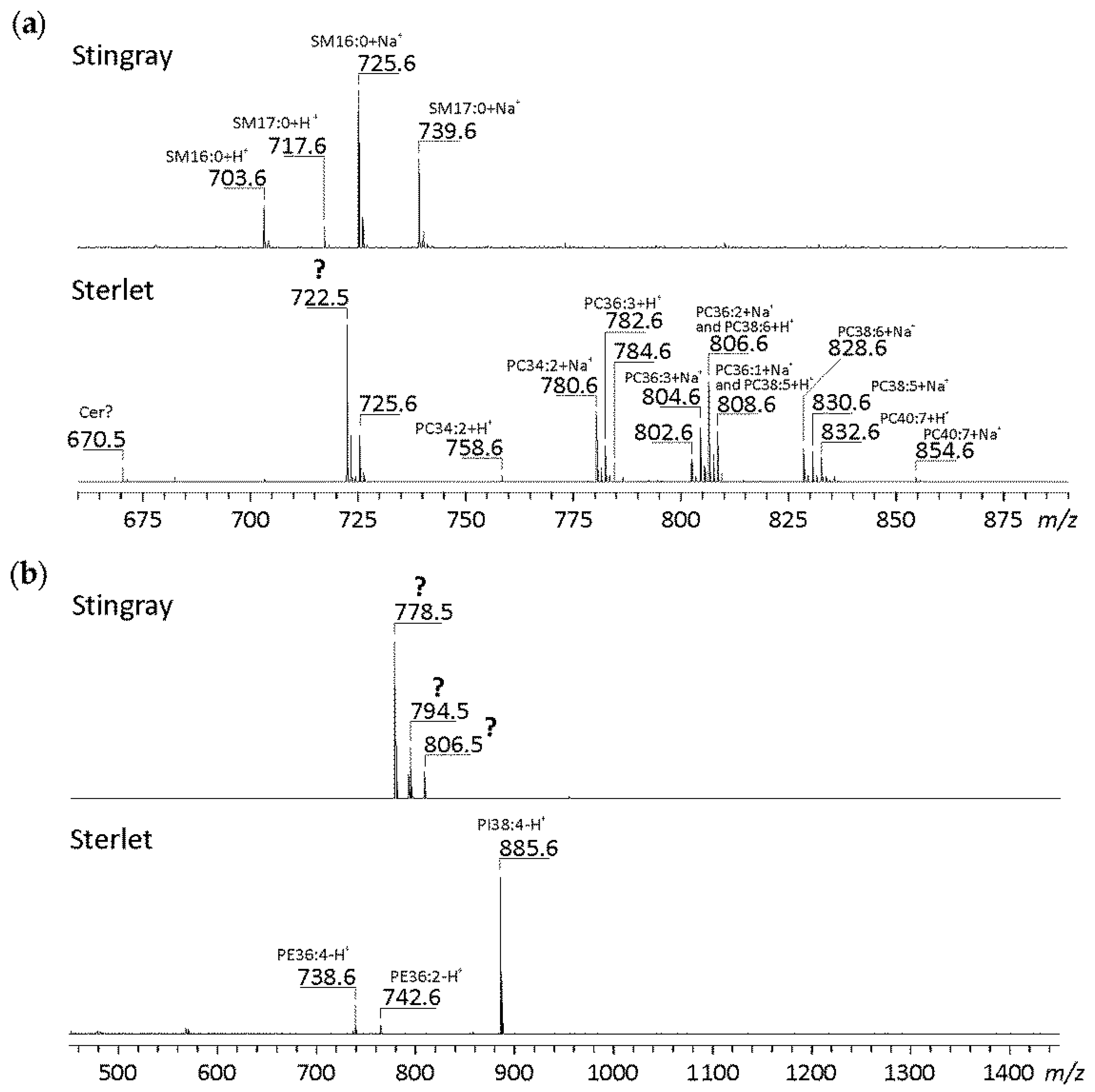 Biomolecules 10 00172 g002