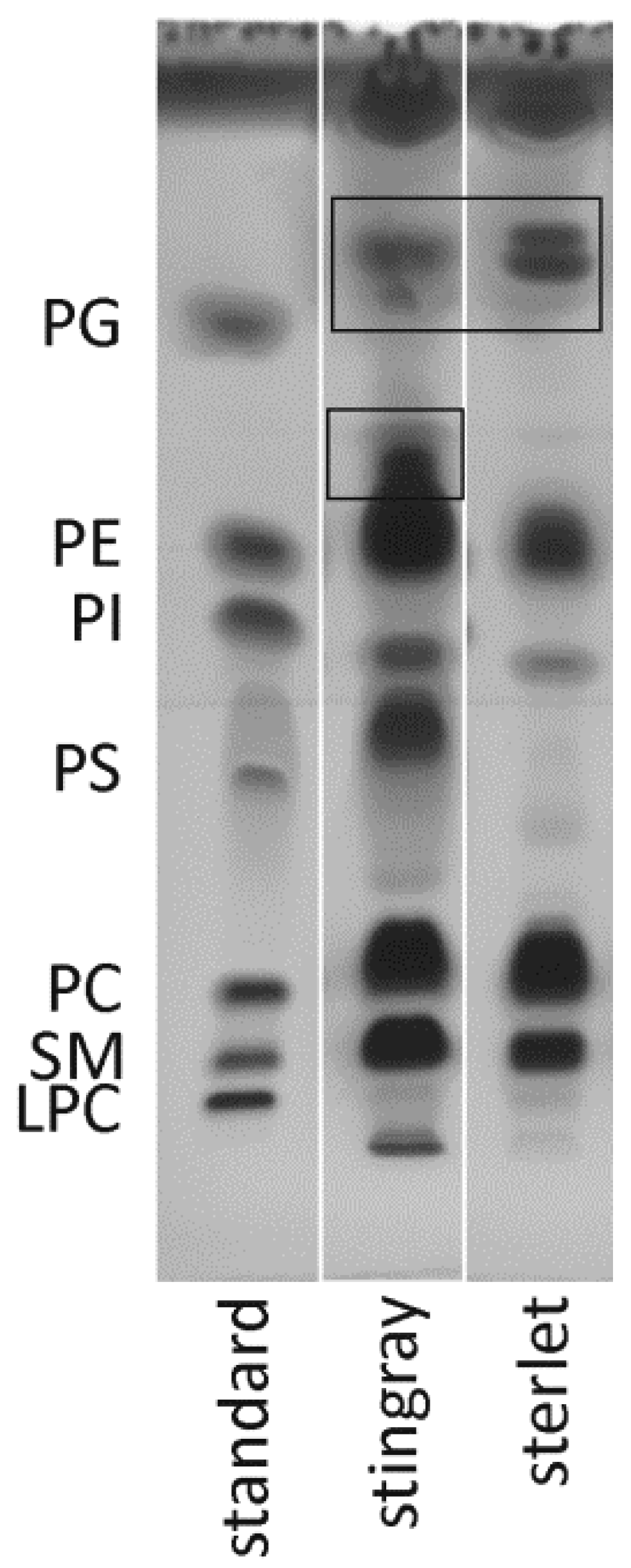 Biomolecules 10 00172 g003