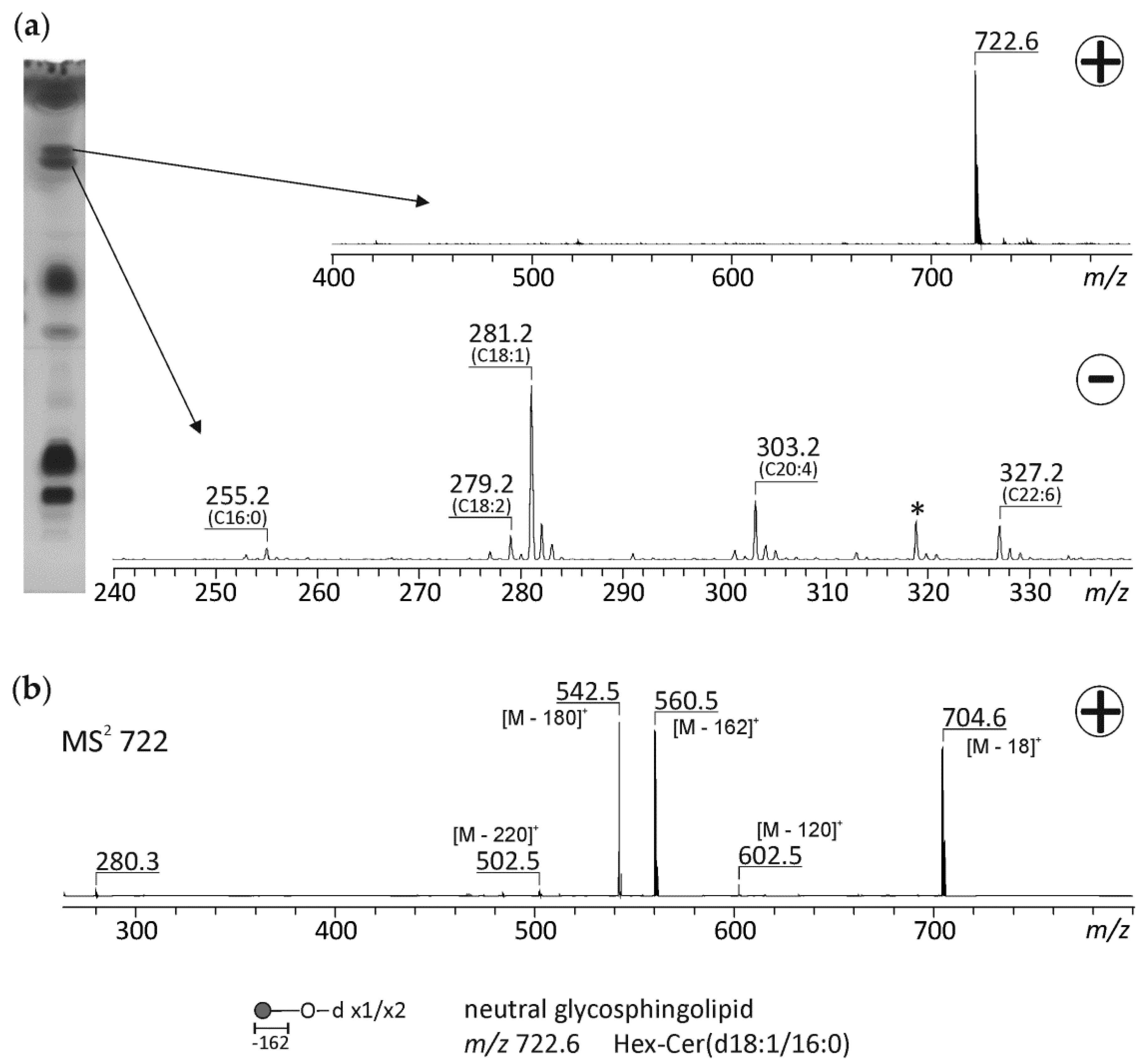 Biomolecules 10 00172 g004