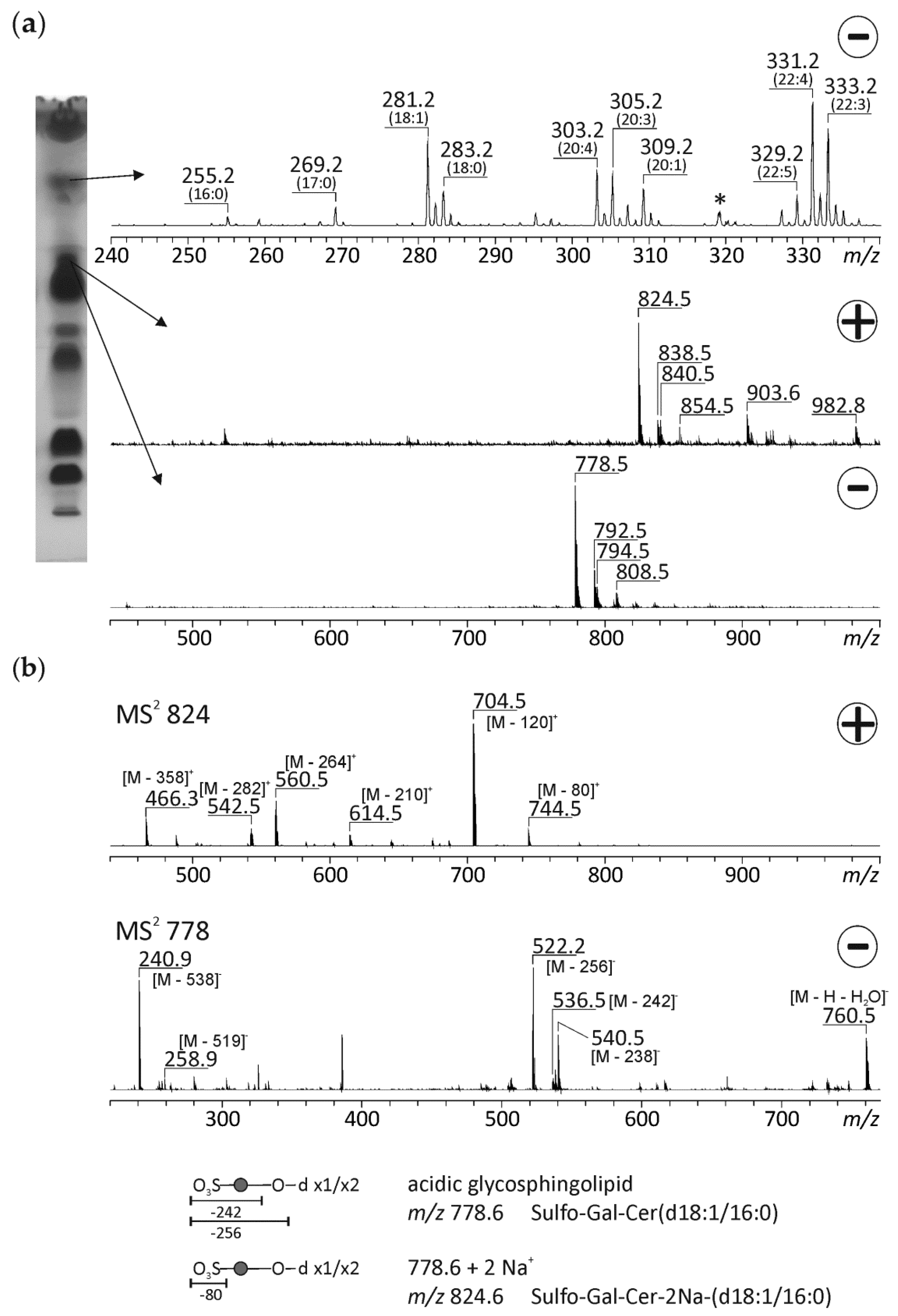 Biomolecules 10 00172 g005