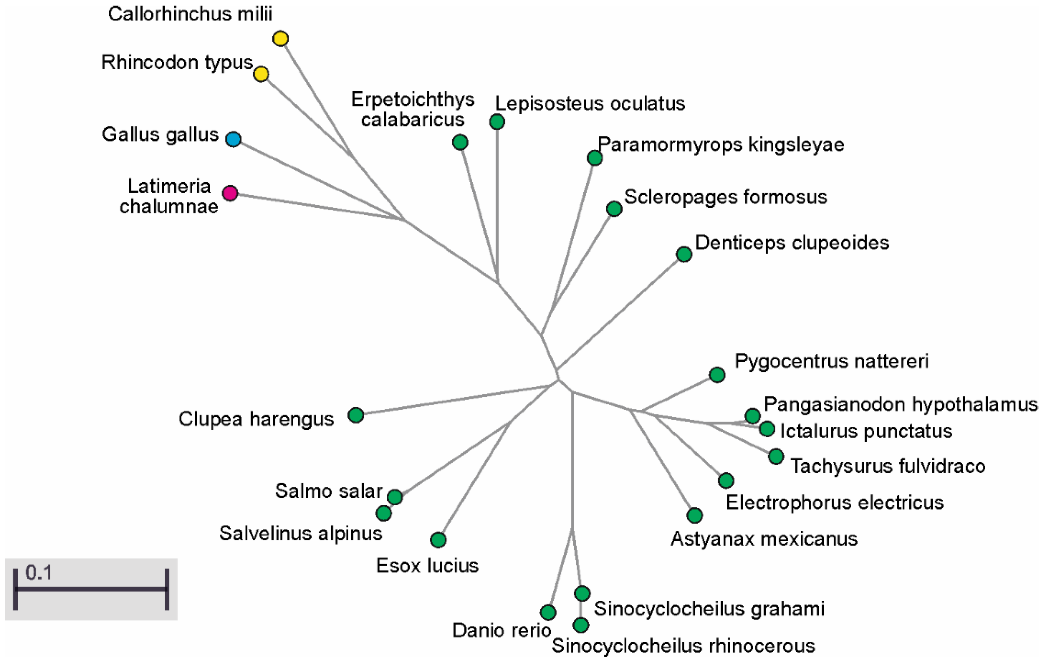 Biomolecules 10 00172 g0a5