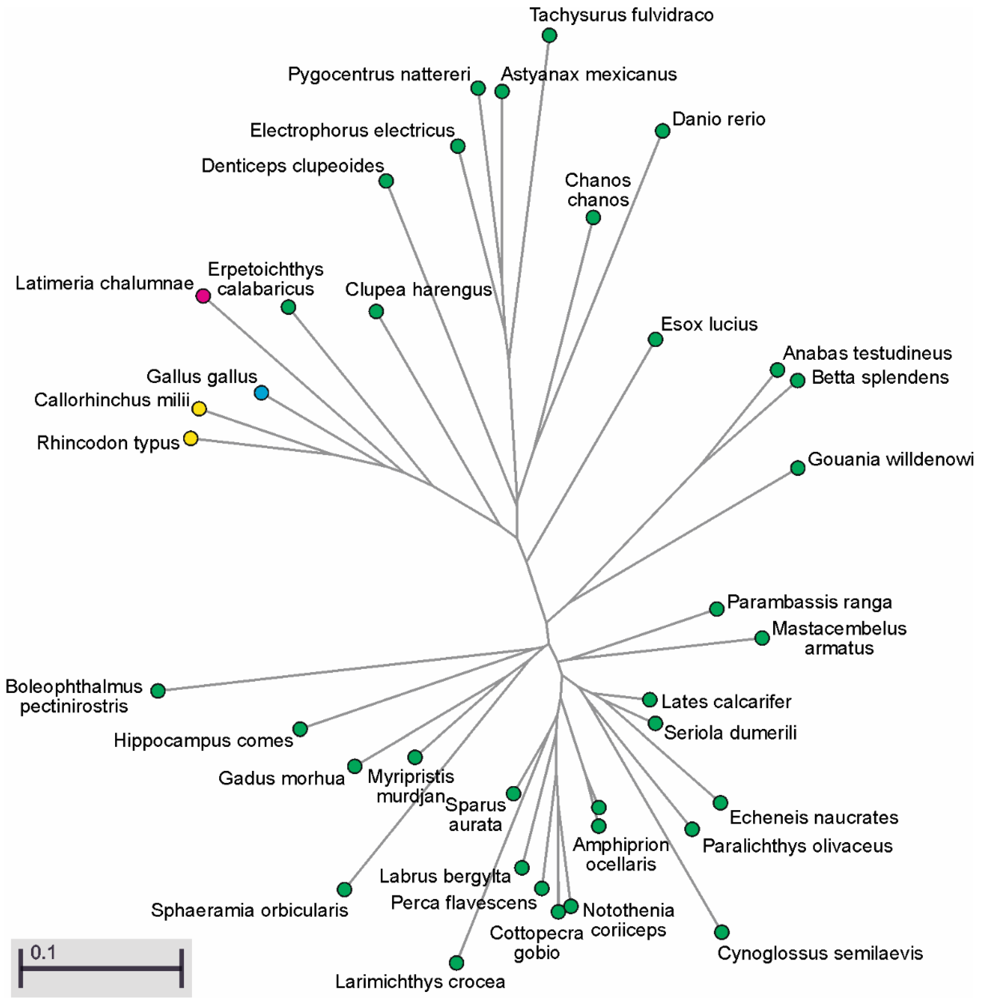 Biomolecules 10 00172 g0a6