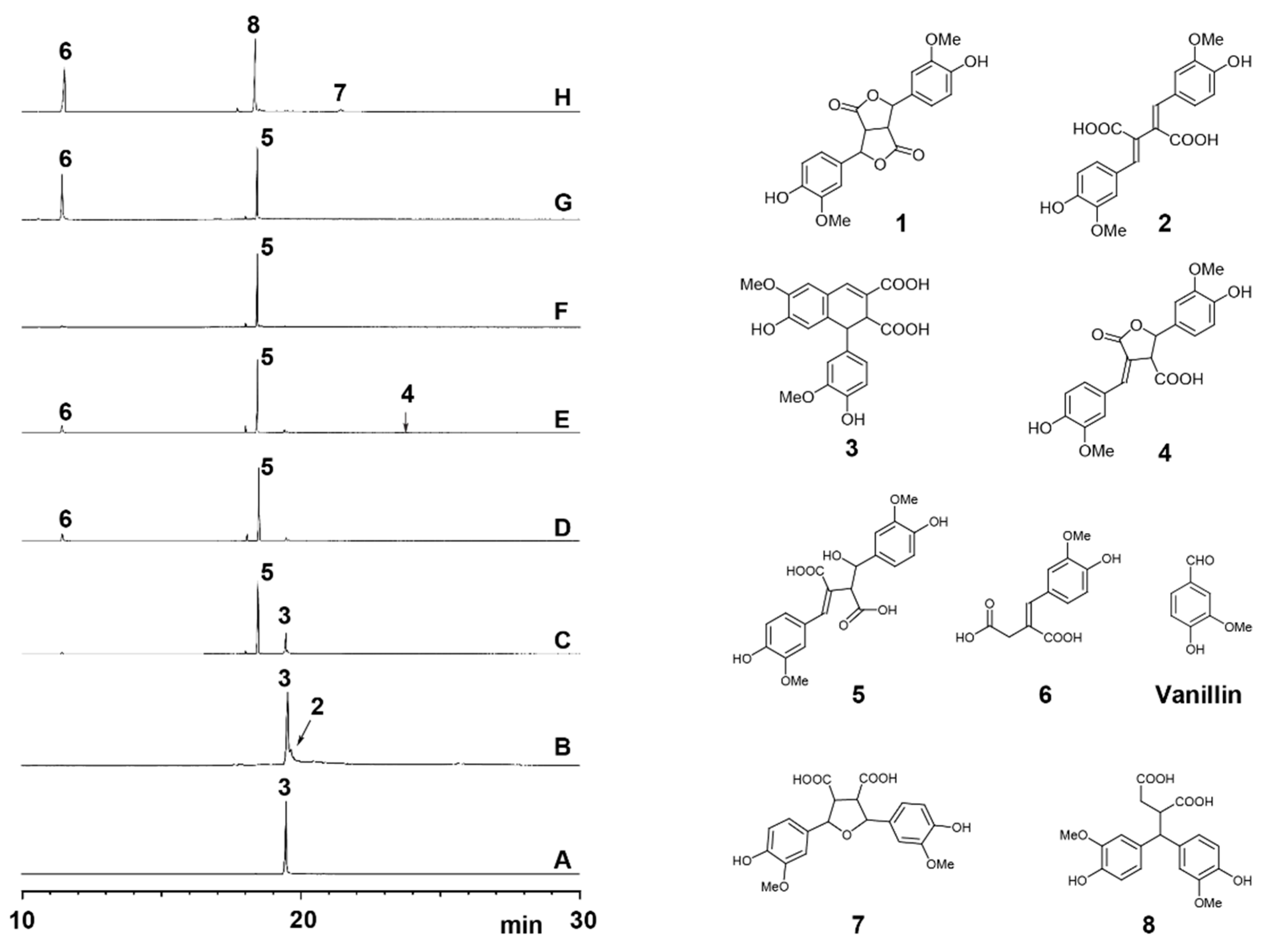 Biomolecules 10 00175 g001 Biomolecules 10 00175 g001