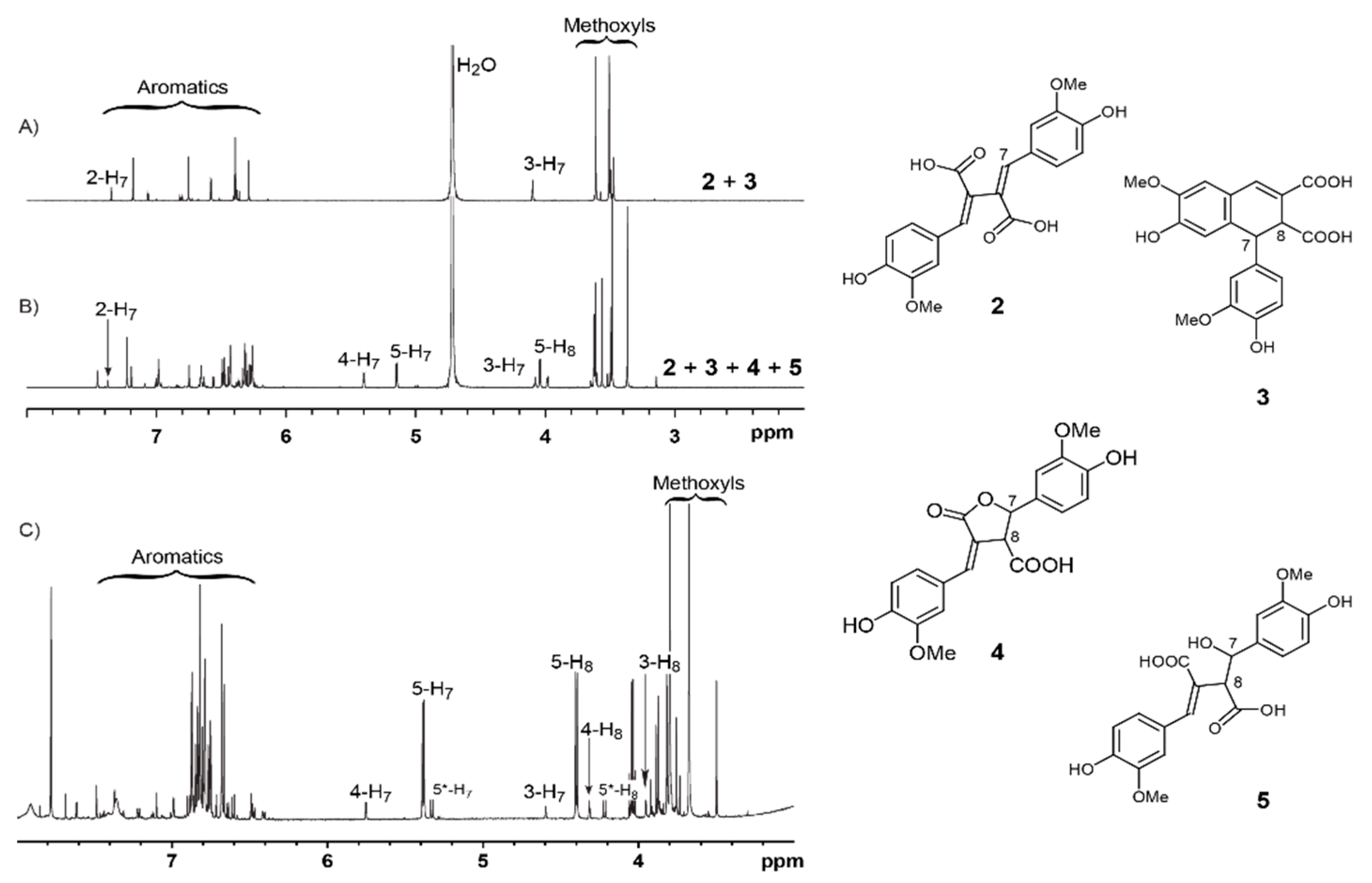 Biomolecules 10 00175 g002 Biomolecules 10 00175 g002