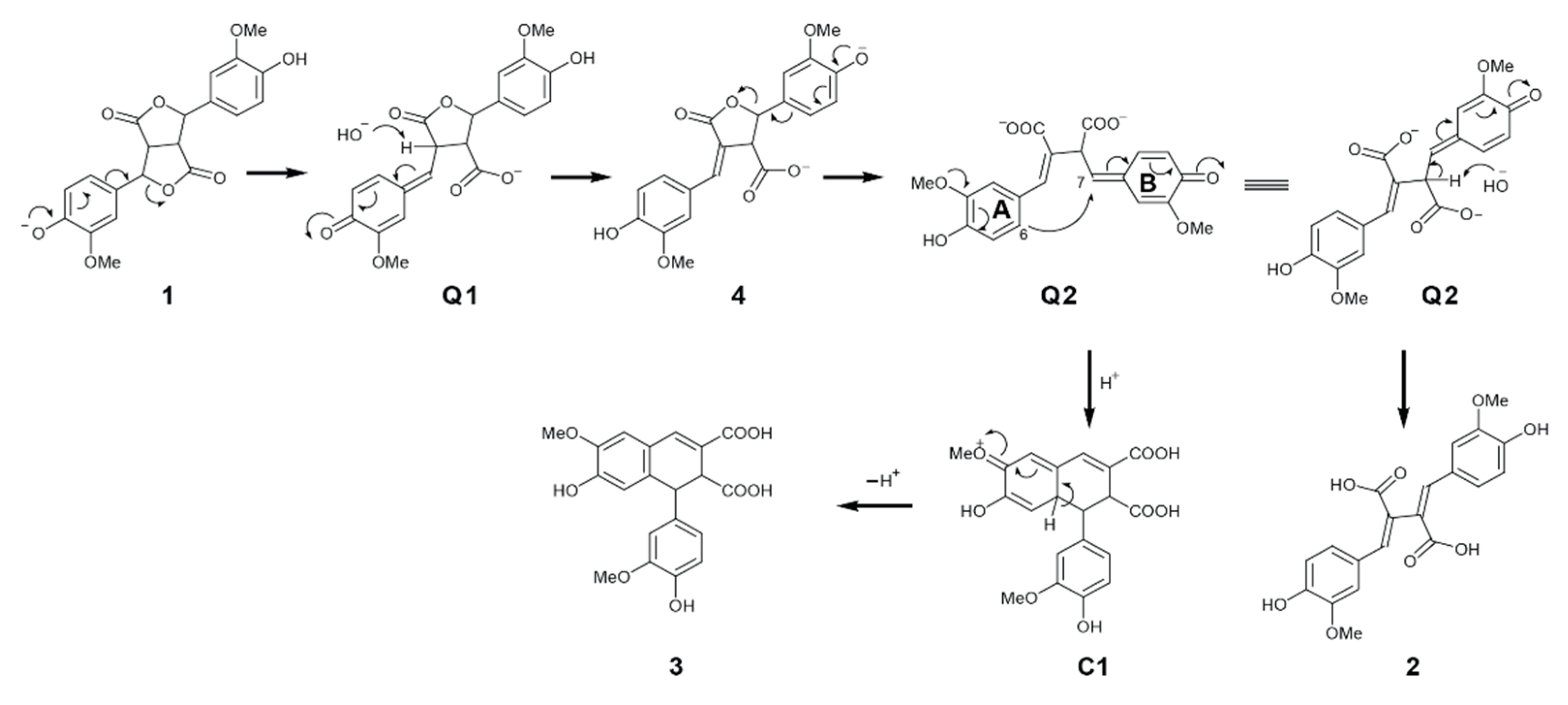 Biomolecules 10 00175 g004 Biomolecules 10 00175 g004
