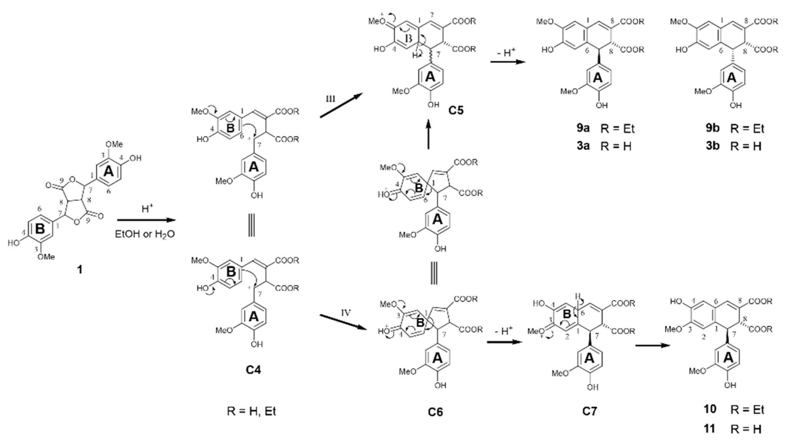Biomolecules 10 00175 g007 Biomolecules 10 00175 g007