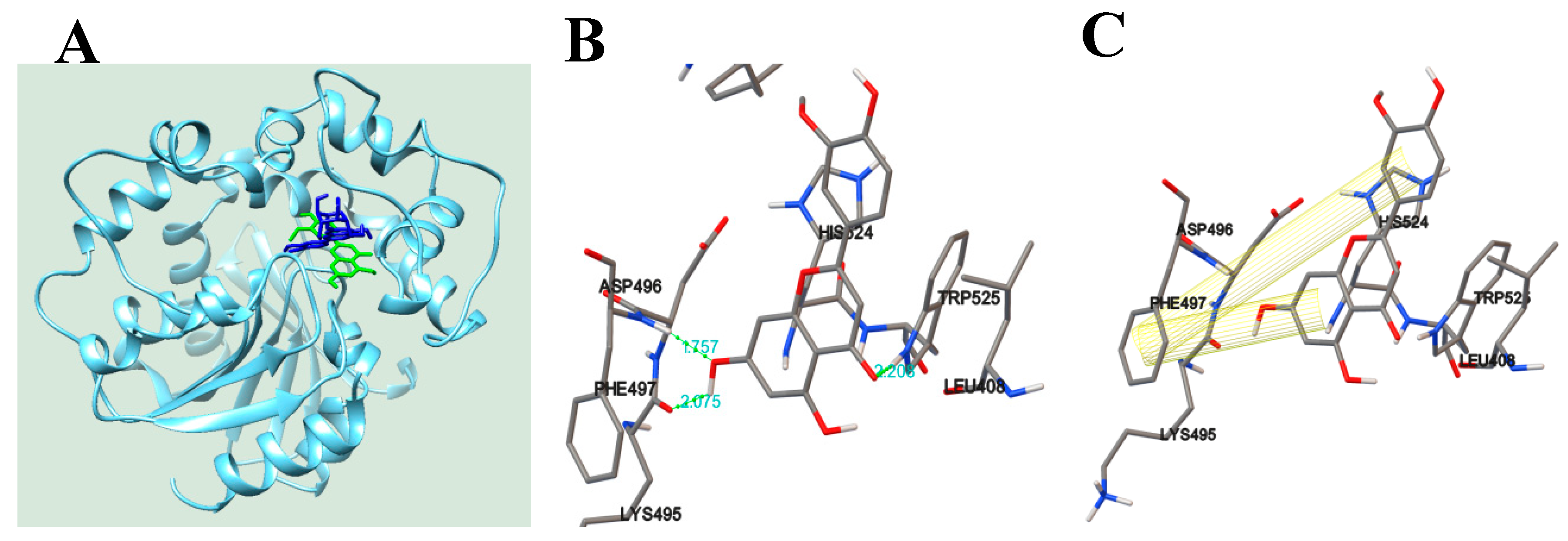Biomolecules 10 00180 g003a Biomolecules 10 00180 g003a