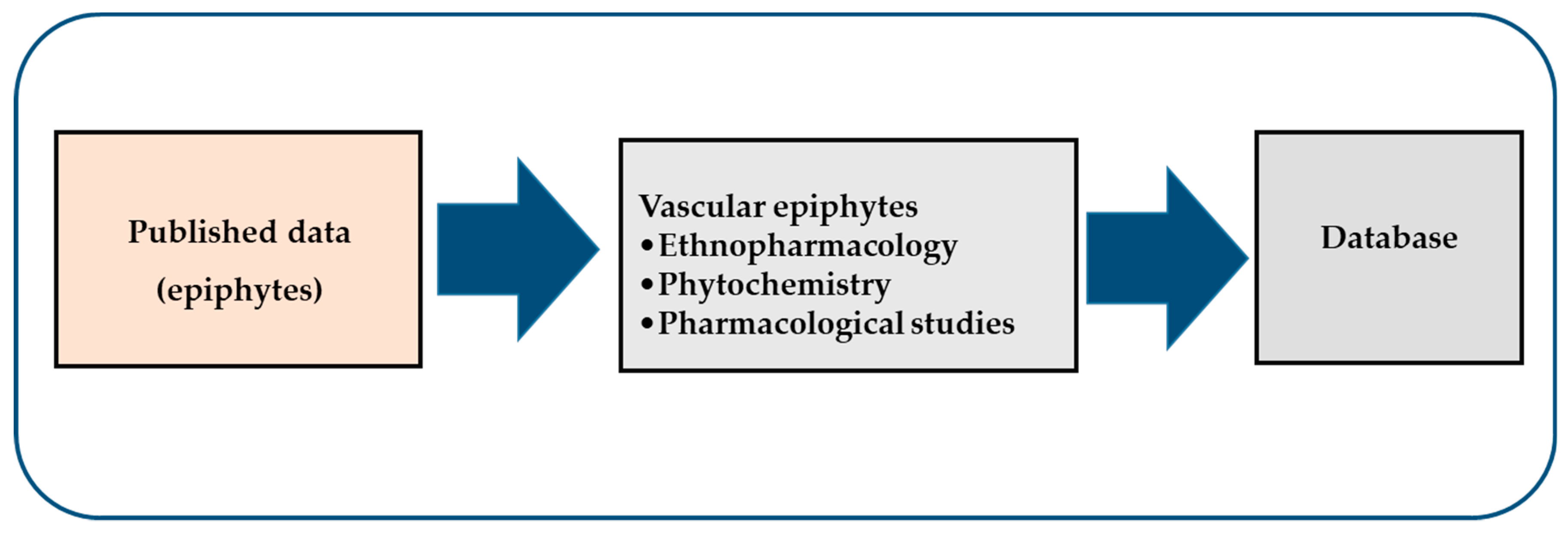 Biomolecules | Free Full-Text | Vascular Epiphytic Medicinal 