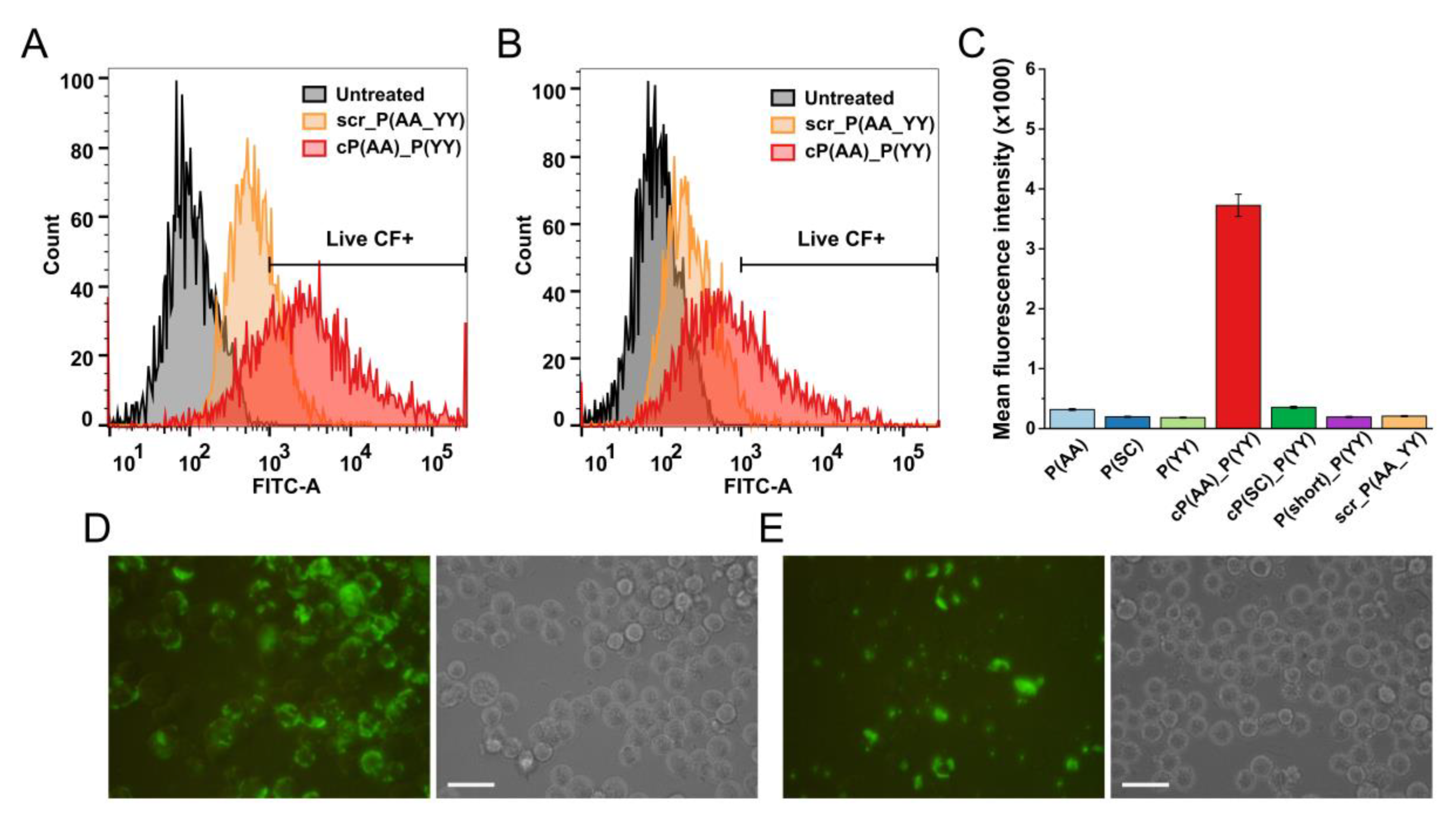 Biomolecules 10 00183 g003