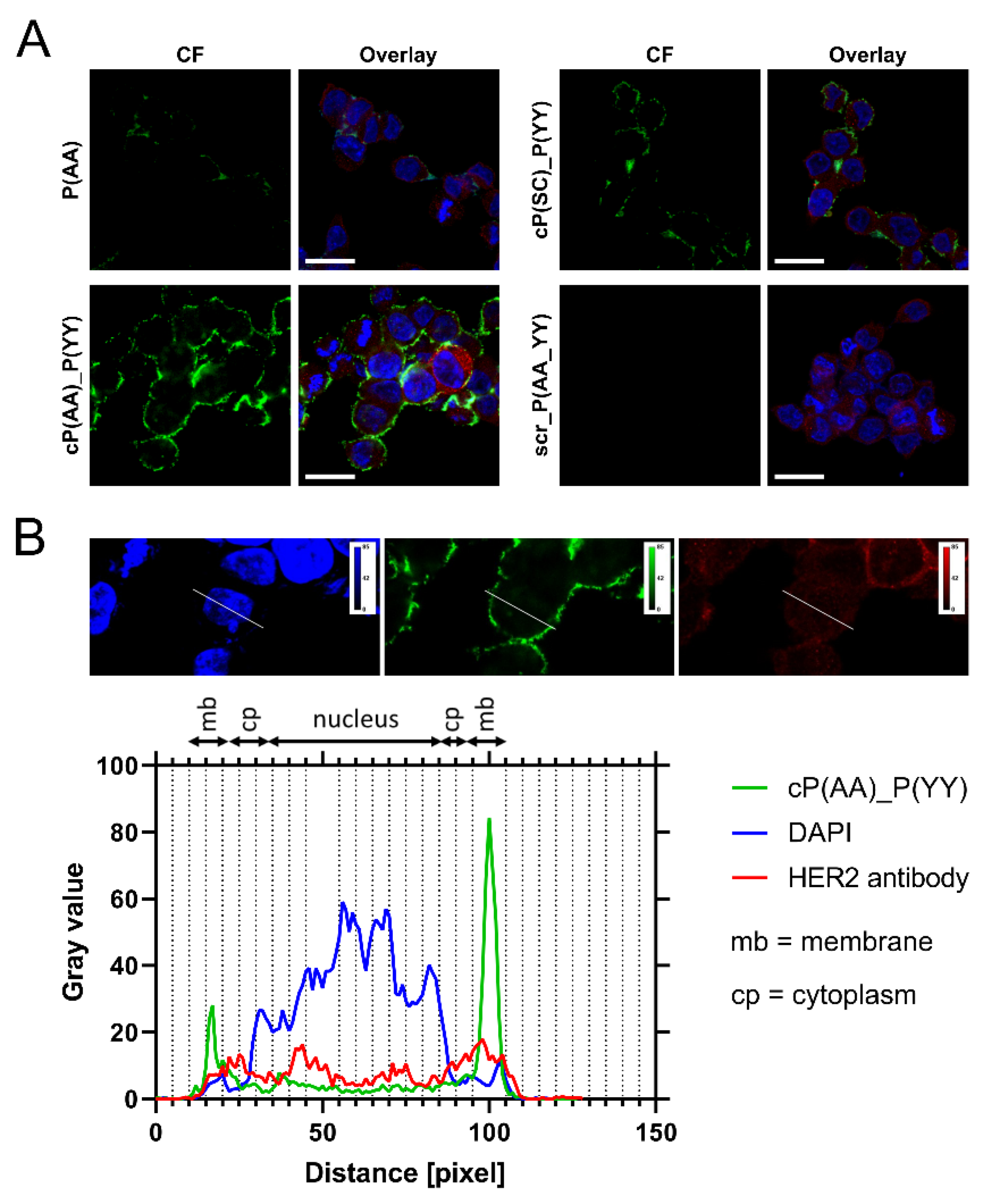 Biomolecules 10 00183 g004