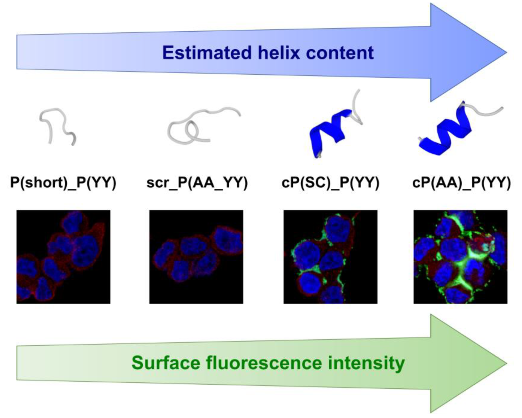 Biomolecules 10 00183 g007