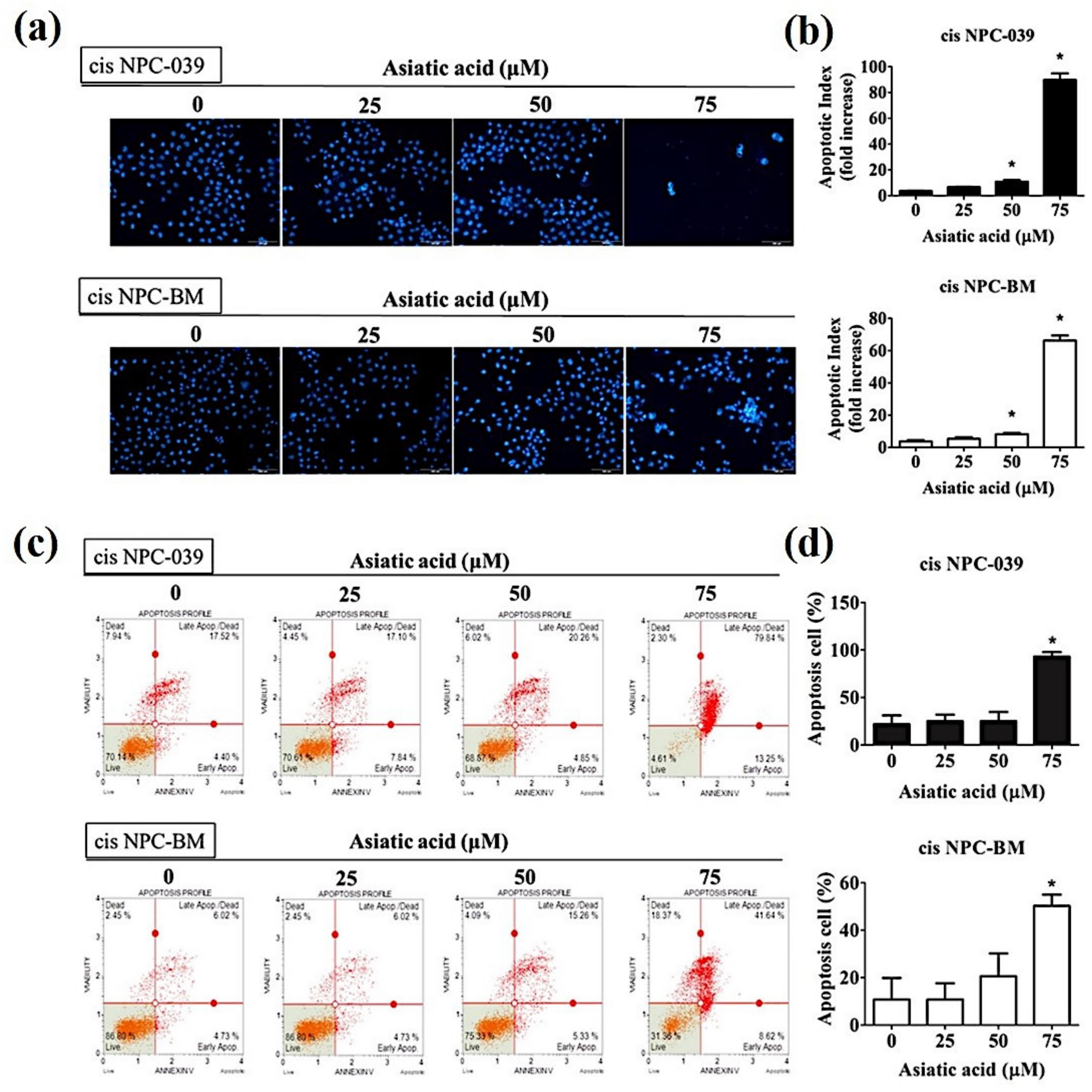 Biomolecules 10 00184 g003 Biomolecules 10 00184 g003