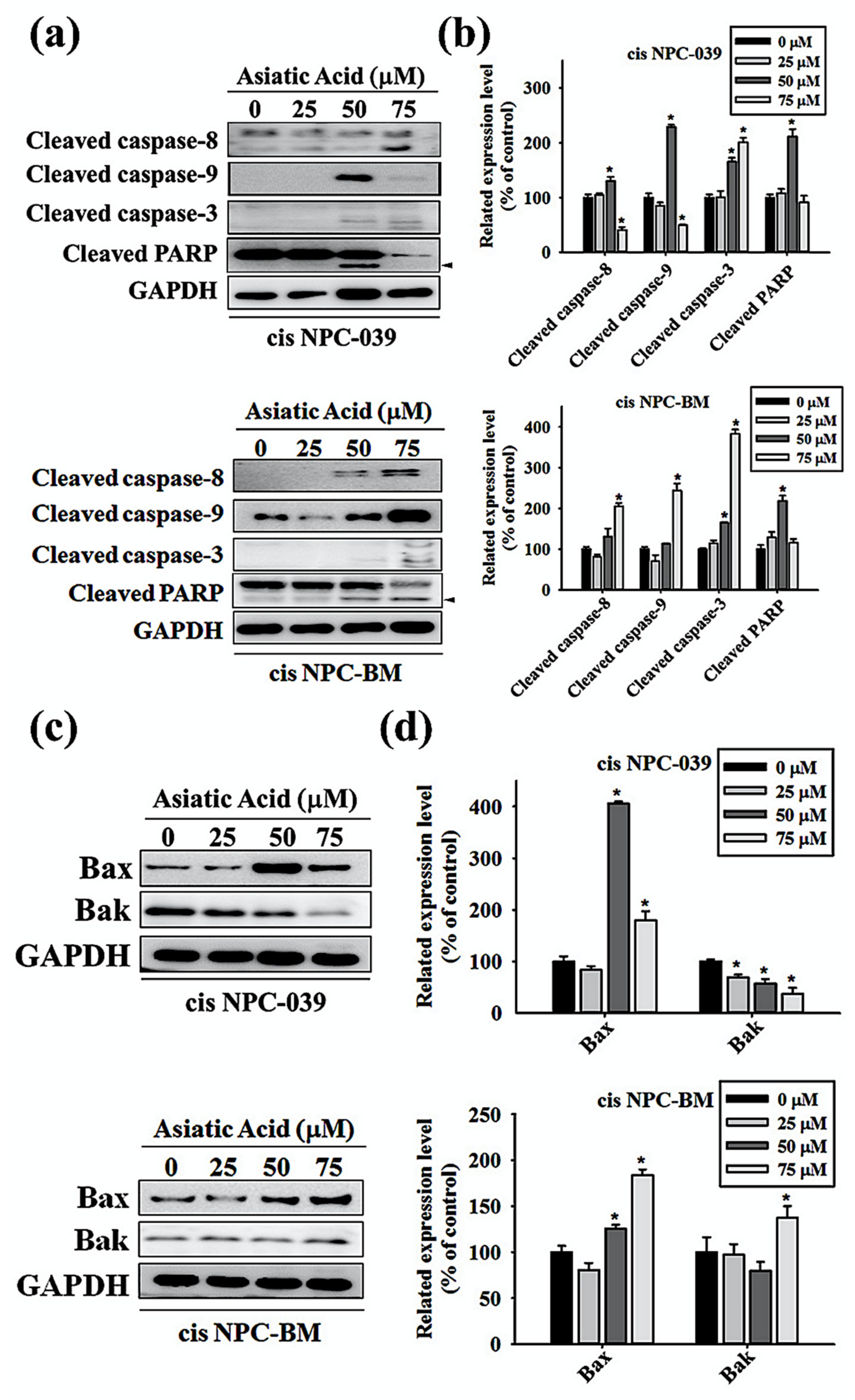Biomolecules 10 00184 g005 Biomolecules 10 00184 g005
