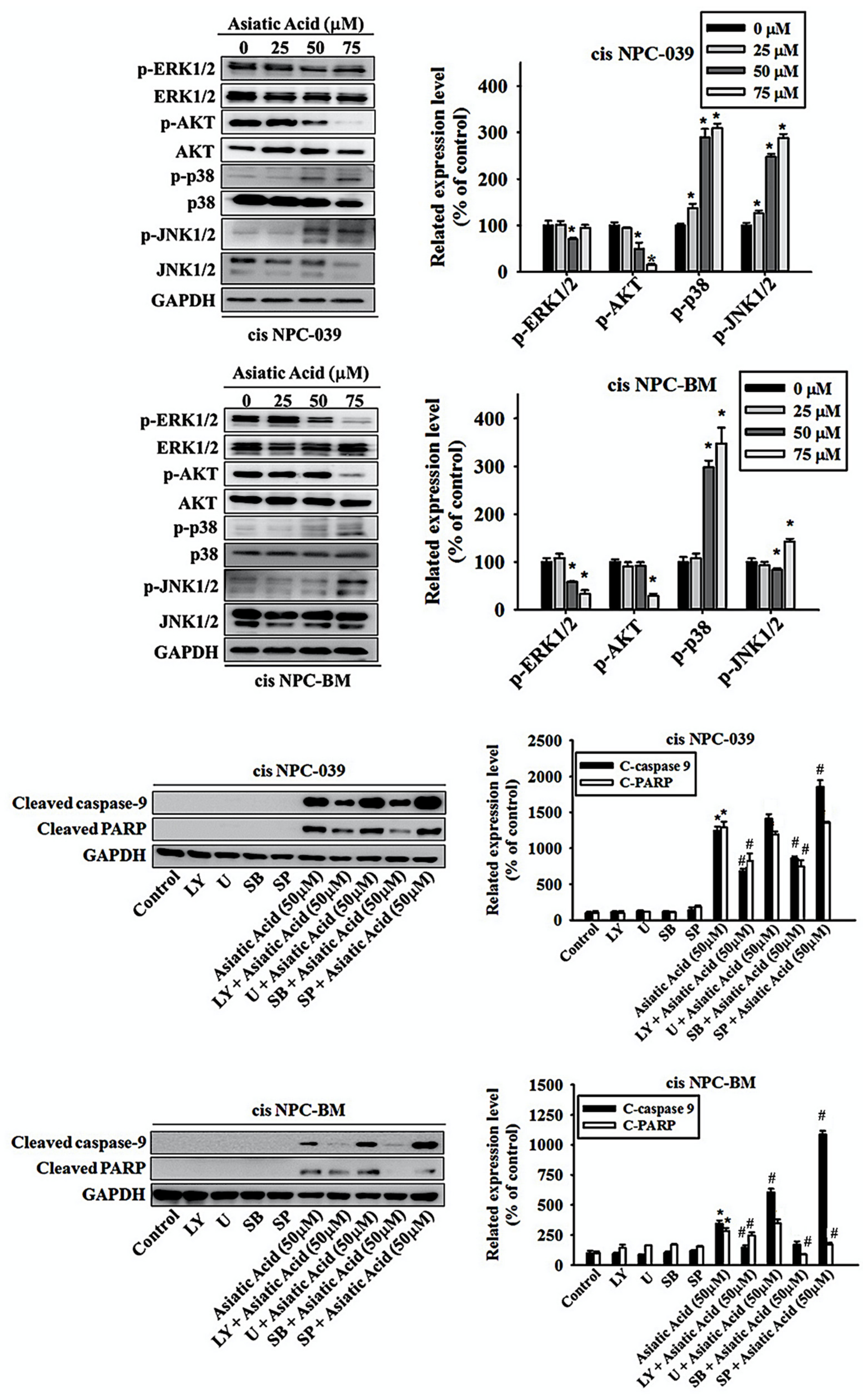 Biomolecules 10 00184 g006 Biomolecules 10 00184 g006