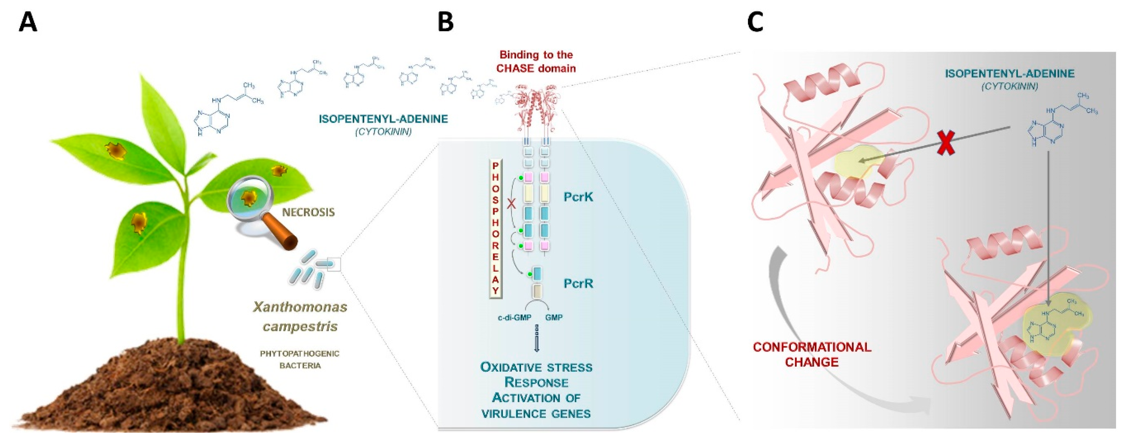 Biomolecules 10 00186 g001 Biomolecules 10 00186 g001