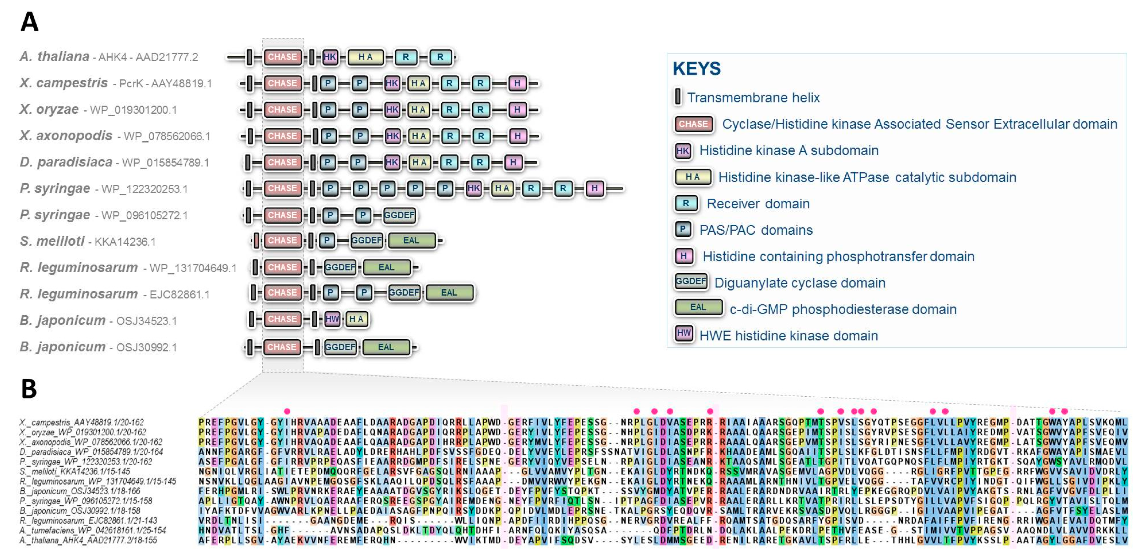 Biomolecules 10 00186 g002 Biomolecules 10 00186 g002