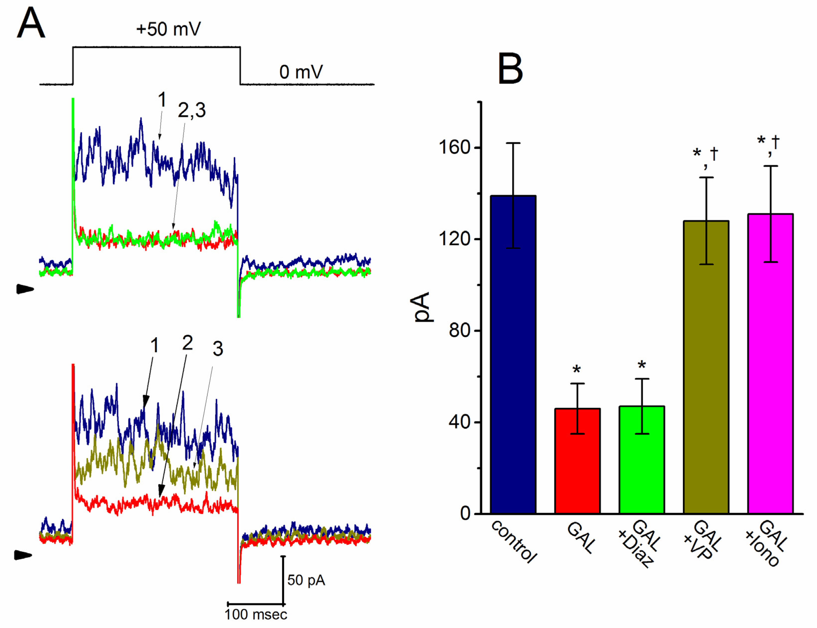 Biomolecules 10 00188 g002 Biomolecules 10 00188 g002
