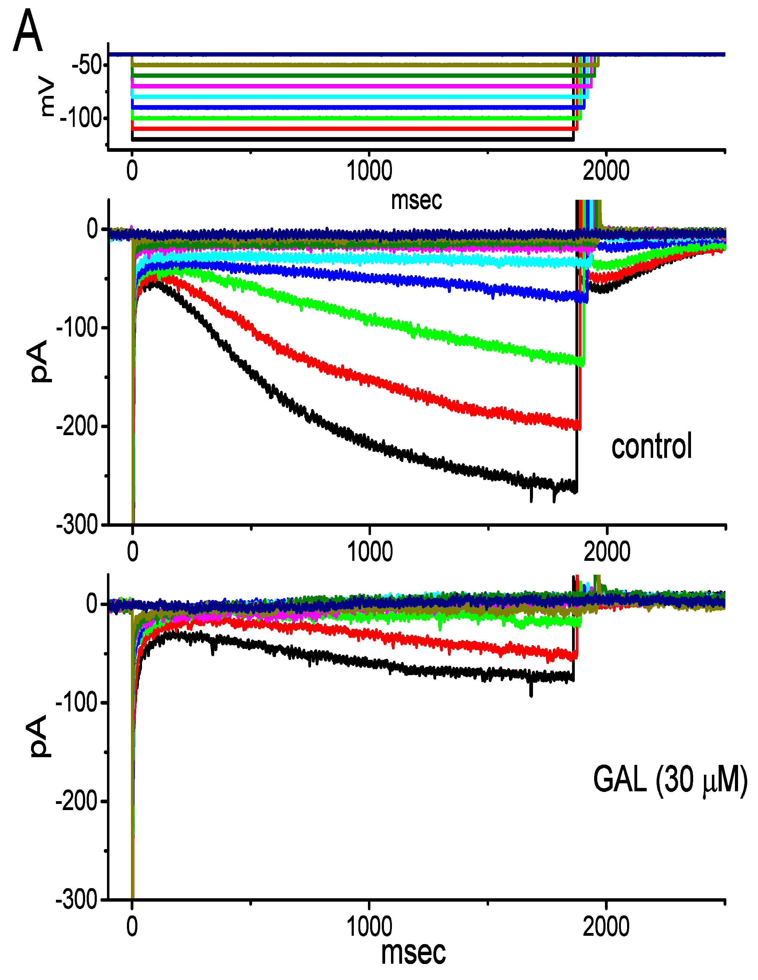 Biomolecules 10 00188 g009a Biomolecules 10 00188 g009a