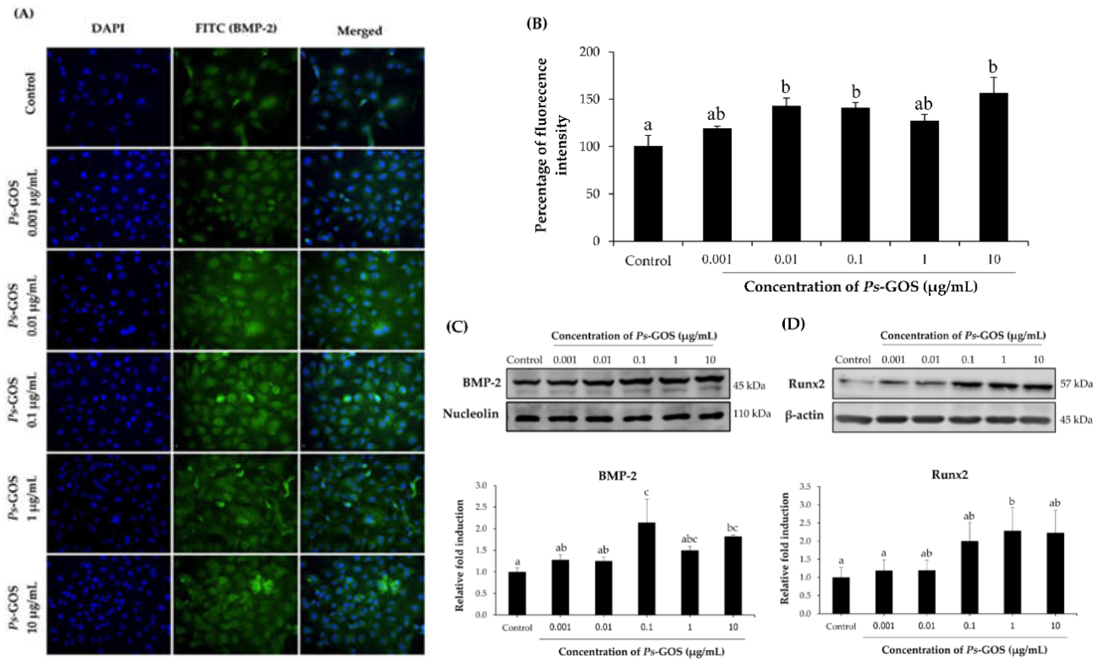 Biomolecules 10 00190 g005 Biomolecules 10 00190 g005