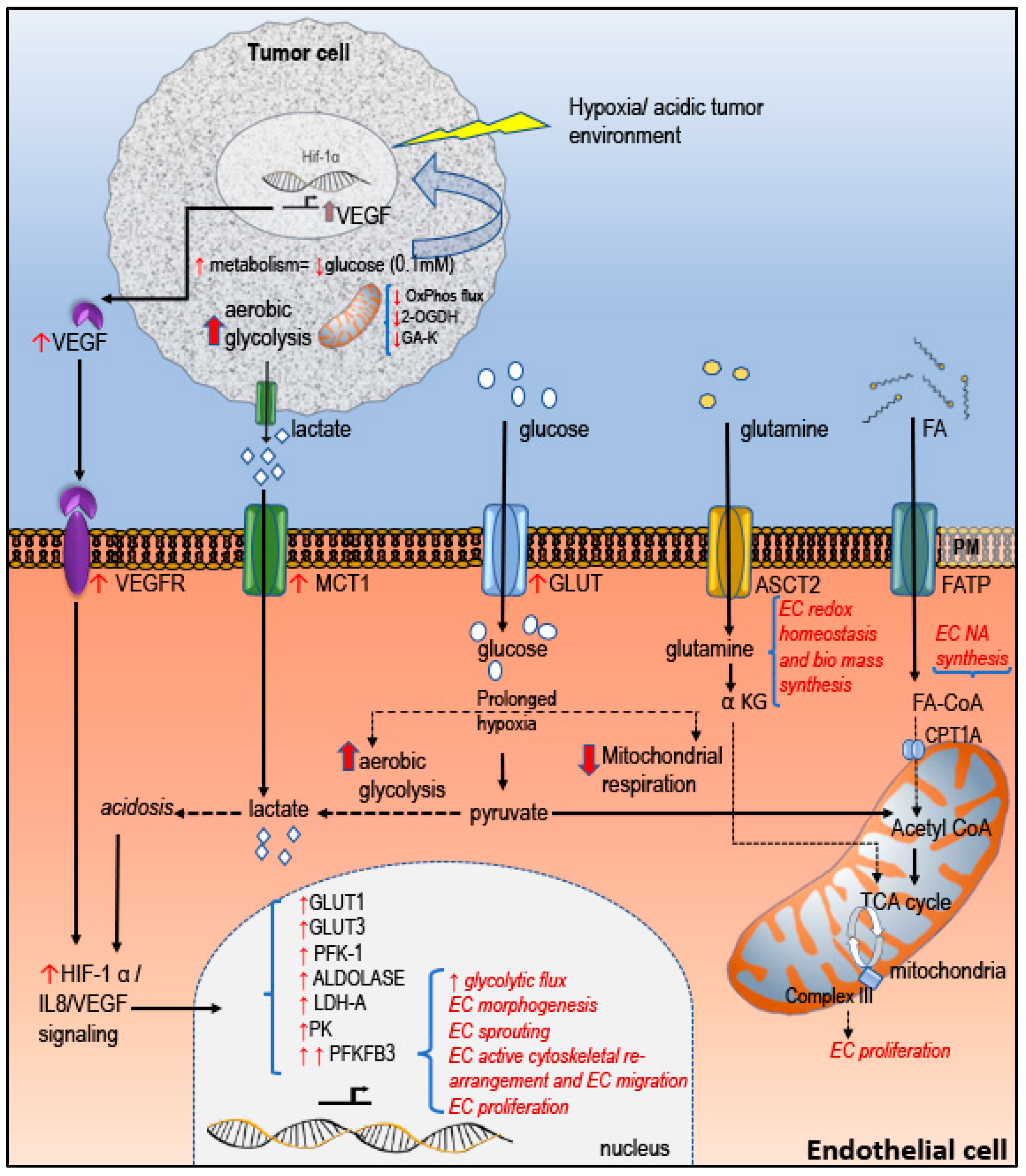Biomolecules 10 00191 g002