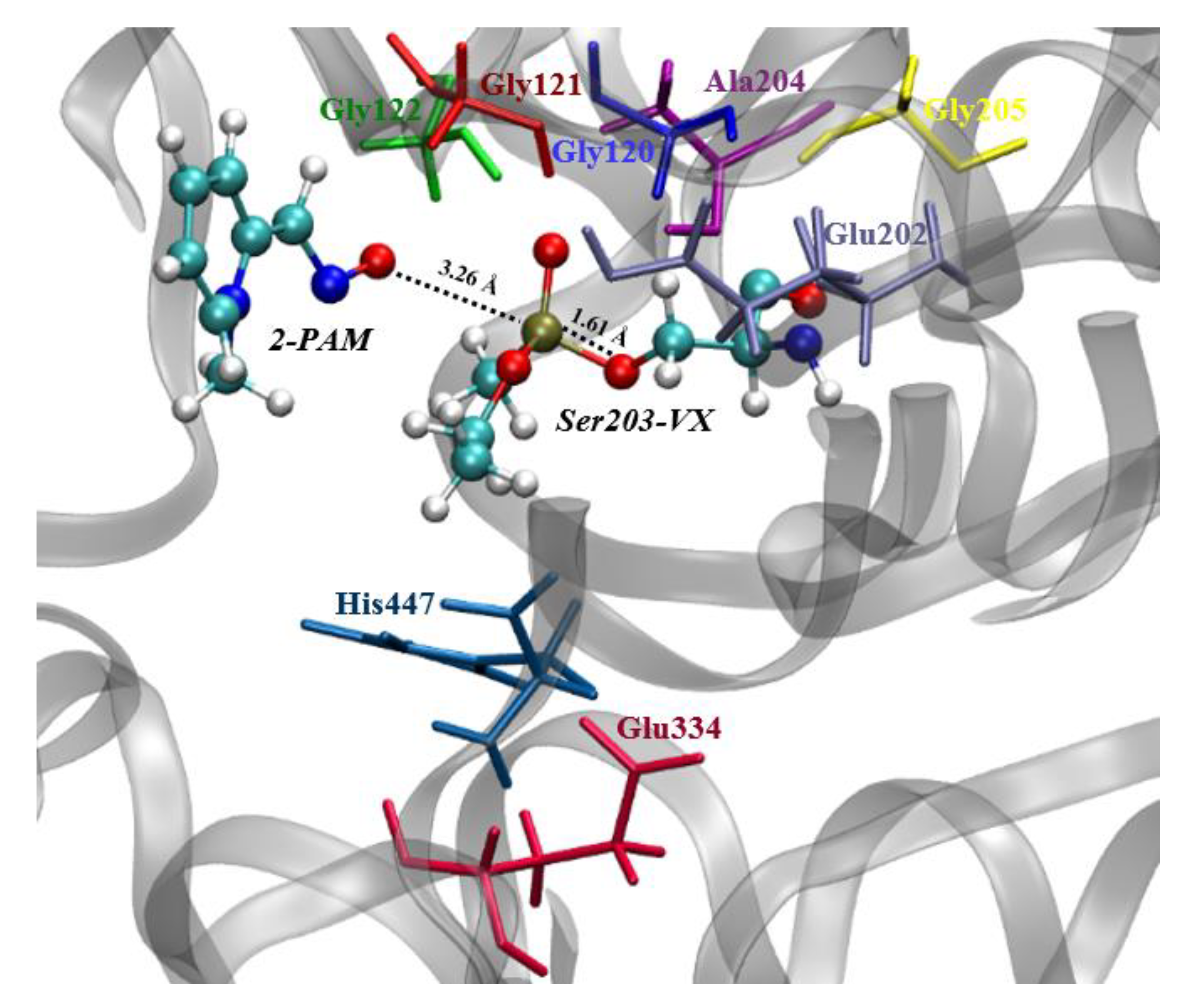 Biomolecules 10 00192 g003